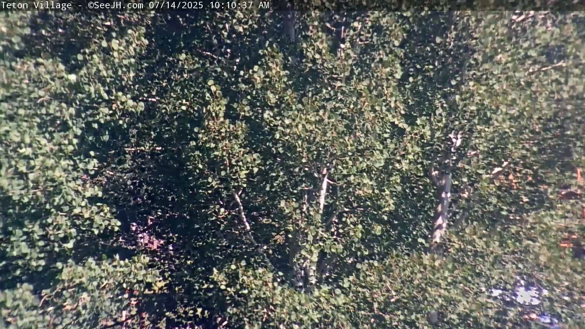 Teton Village & Grand Tetons Ski Slopes Live Cam - Teton Village , Teton, Wyoming, USA
