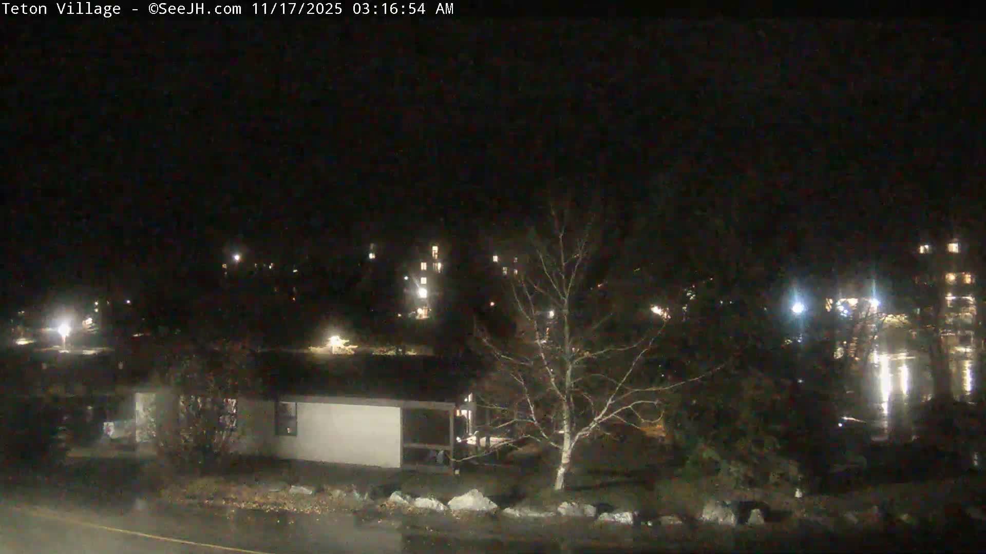 A dark outdoor night scene reveals a building and a bare tree in the foreground, with numerous distant lights from other structures reflecting on a wet ground under clear skies.