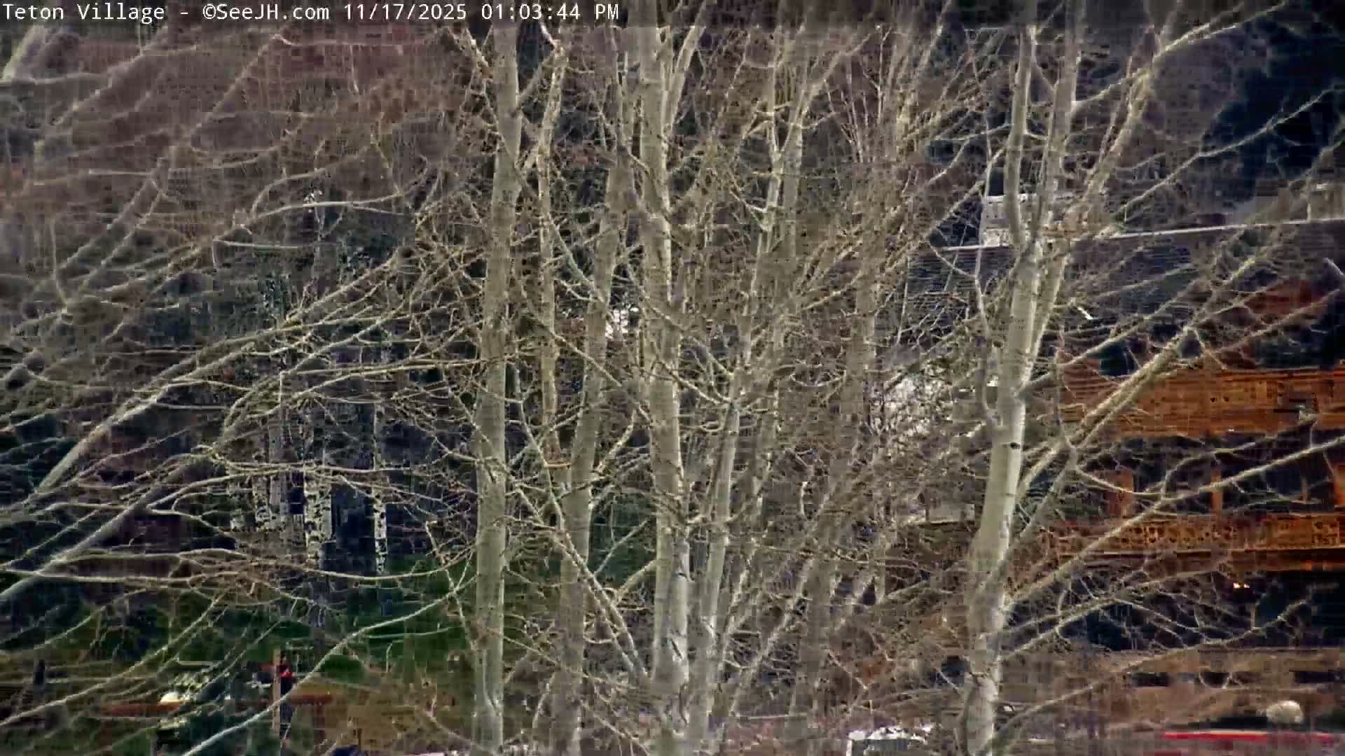 Teton Village & Grand Tetons Ski Slopes Live Cam - Teton Village , Teton, Wyoming, USA