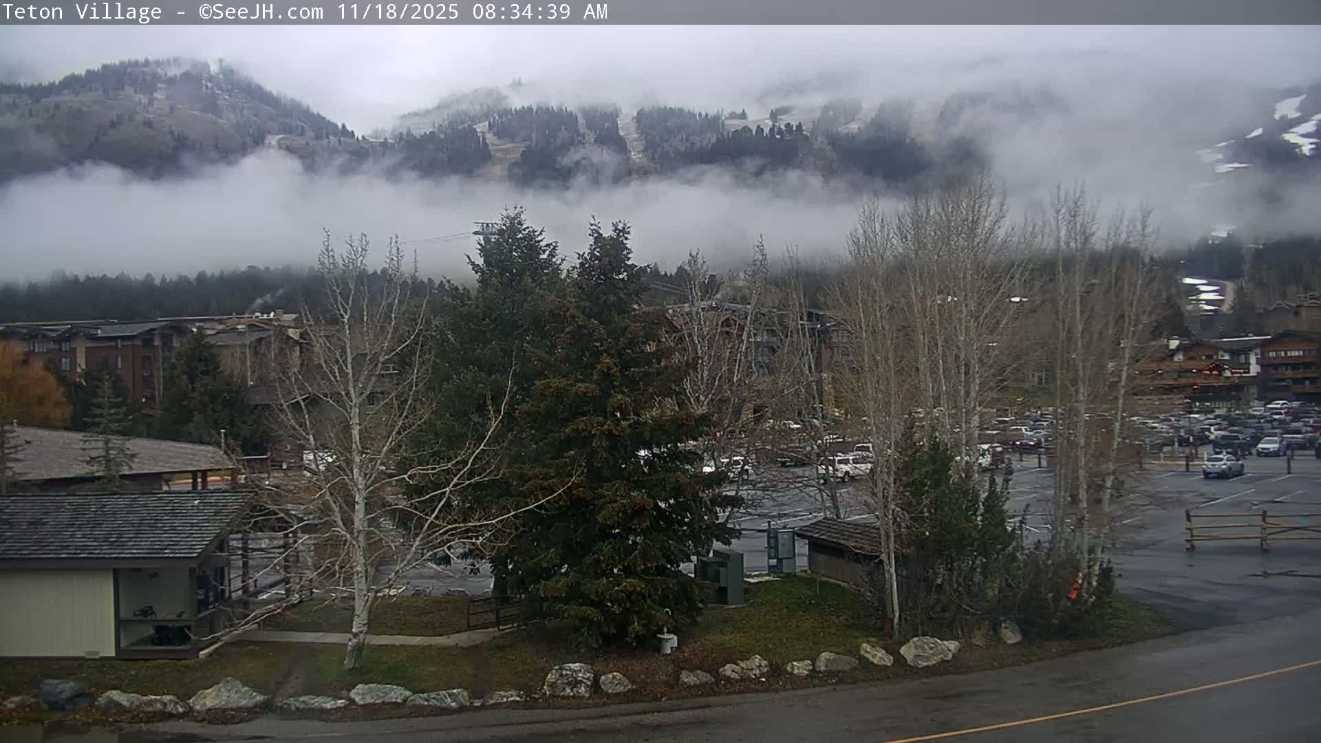 A dark outdoor night scene reveals a building and a bare tree in the foreground, with numerous distant lights from other structures reflecting on a wet ground under clear skies.