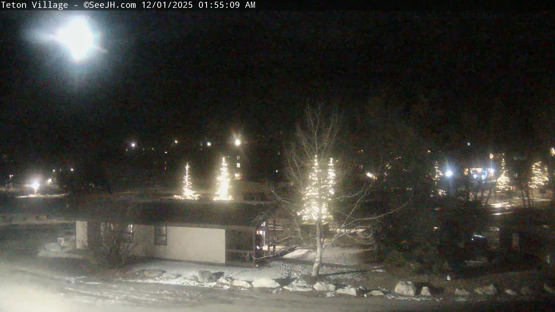 It is a clear, cold winter night with patchy snow on the ground, illuminated by a bright light source in the upper left, several string-lit trees, and distant artificial lights.