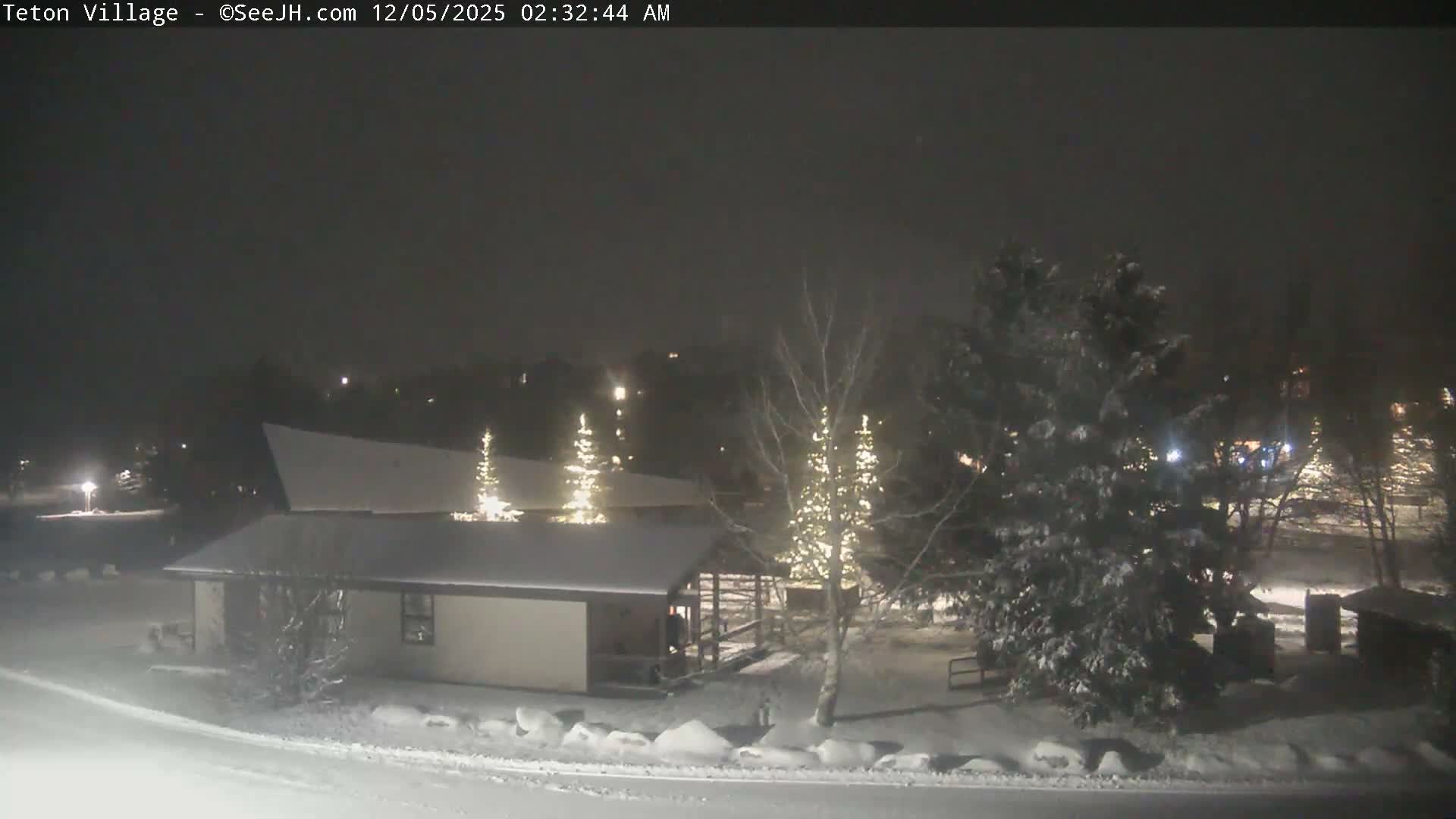 A snowy village scene at night shows buildings and numerous snow-covered trees, some adorned with festive lights, under a dark sky with ongoing light snowfall.