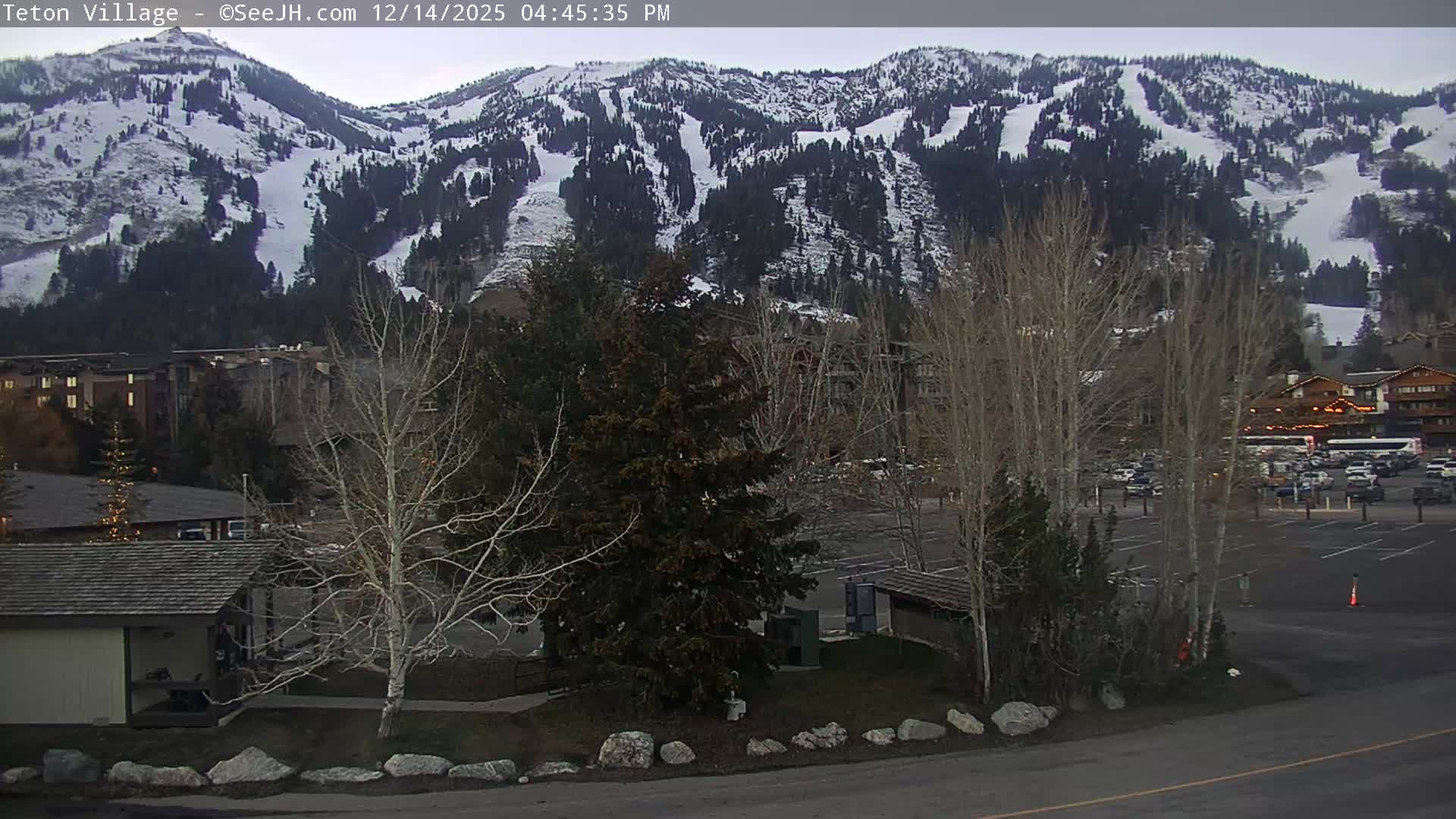A snowy village scene at night shows buildings and numerous snow-covered trees, some adorned with festive lights, under a dark sky with ongoing light snowfall.