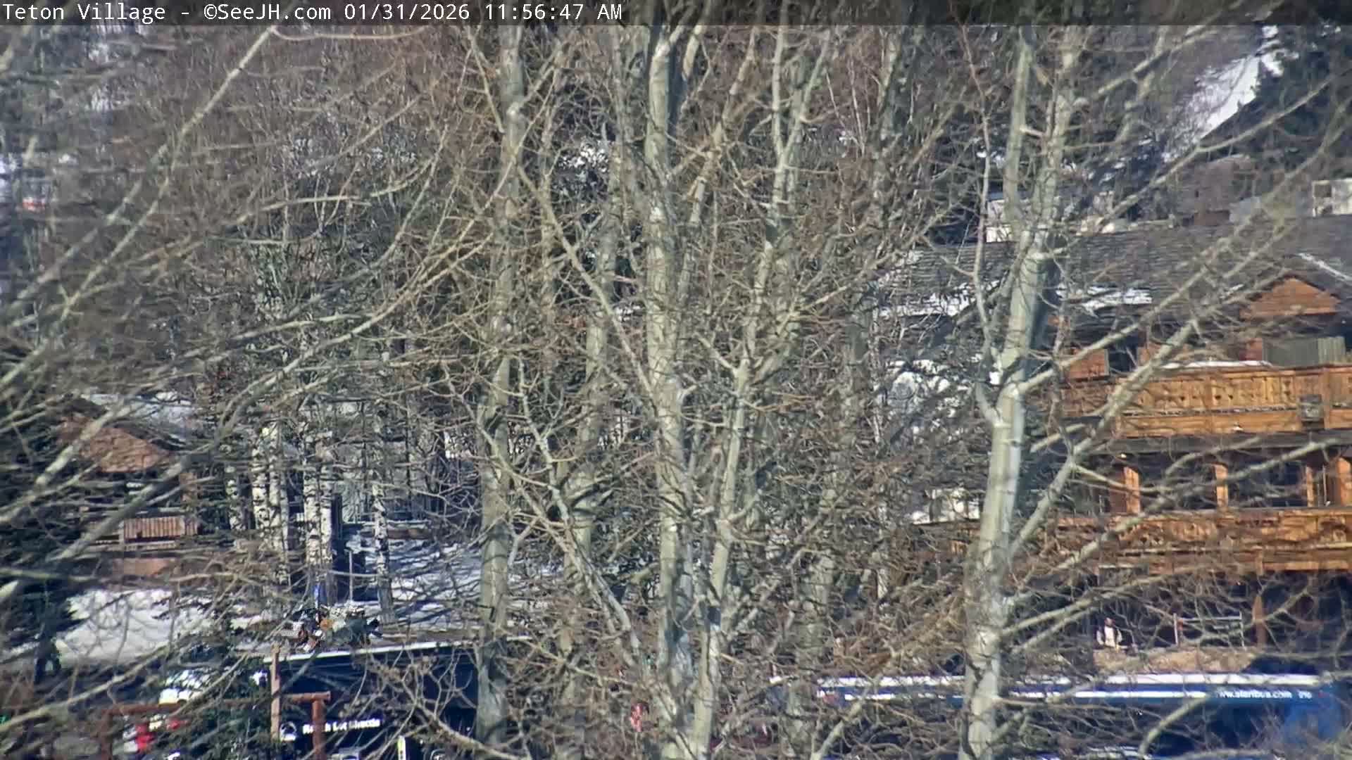 Teton Village & Grand Tetons Ski Slopes Live Cam - Teton Village , Teton, Wyoming, USA