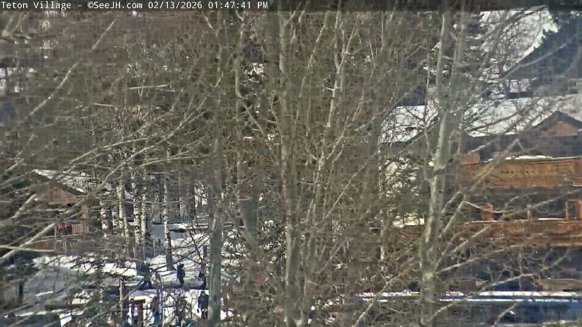 Teton Village & Grand Tetons Ski Slopes Live Cam - Teton Village , Teton, Wyoming, USA