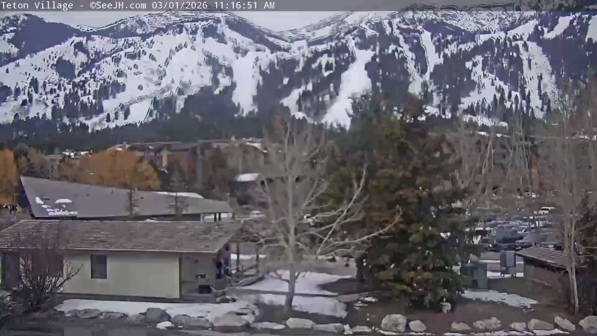 Teton Village & Grand Tetons Ski Slopes Live Cam - Teton Village , Teton, Wyoming, USA