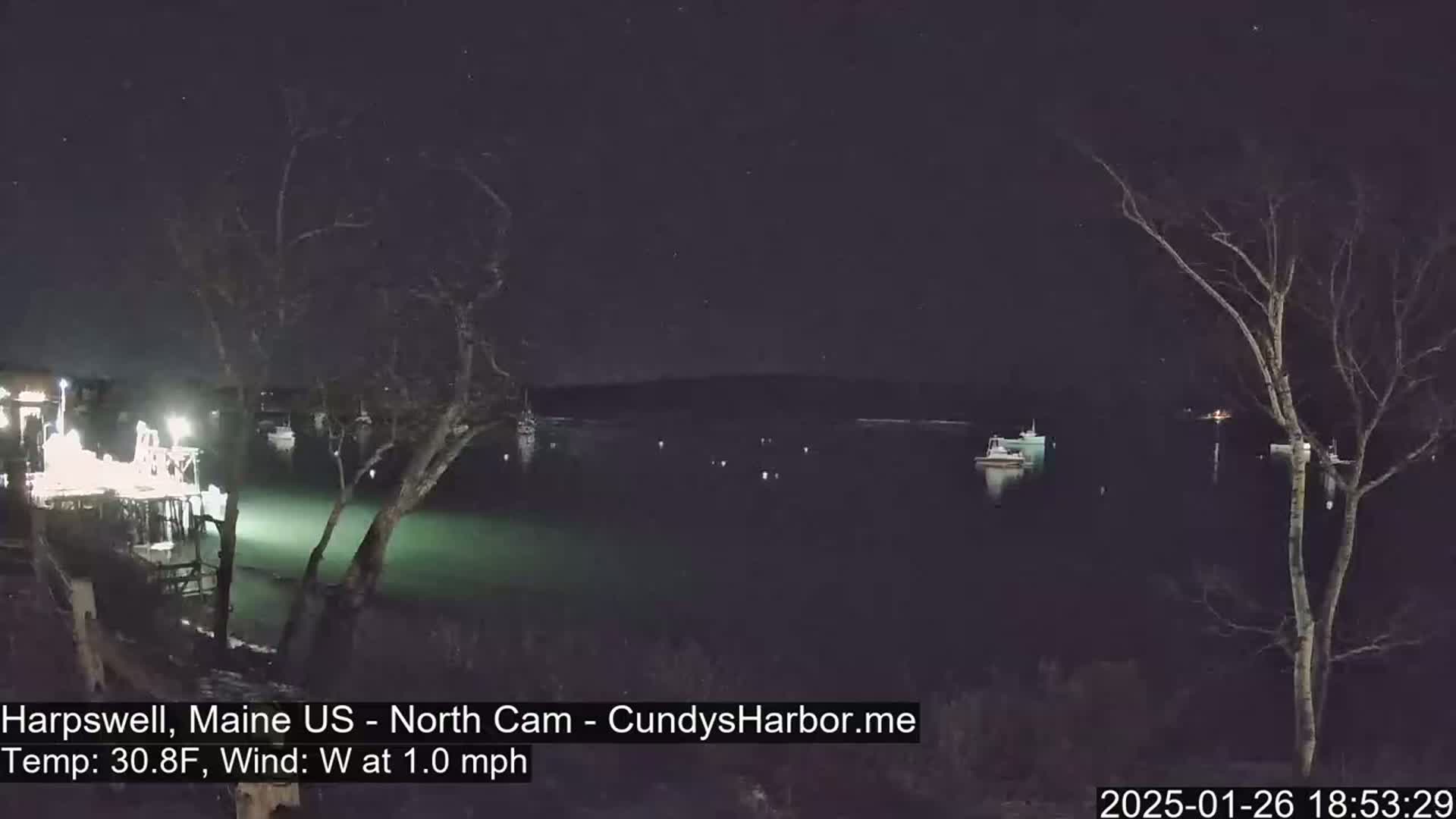 A nighttime view of a calm harbor with several boats, illuminated by lights from a nearby dock under a starry sky.