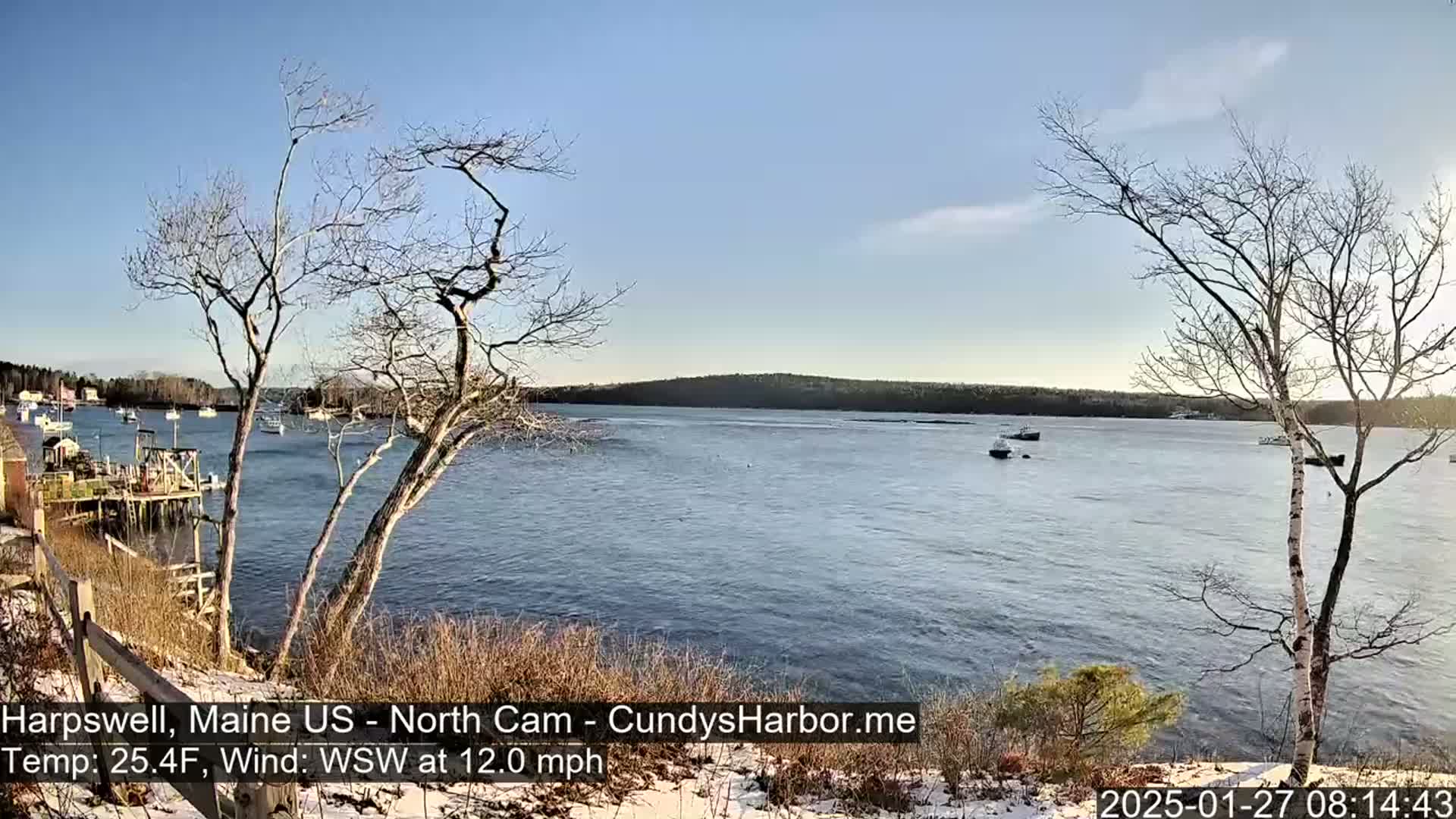 A calm body of water with several boats is seen from a snow-dusted shoreline under a mostly clear sky, with bare trees in the foreground and a low-lying wooded area in the background.