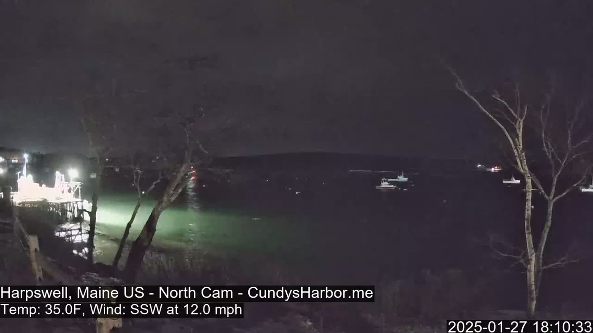 A nighttime view of a calm body of water with several boats at a distance, under a dark sky, with a lit pier and bare trees in the foreground.