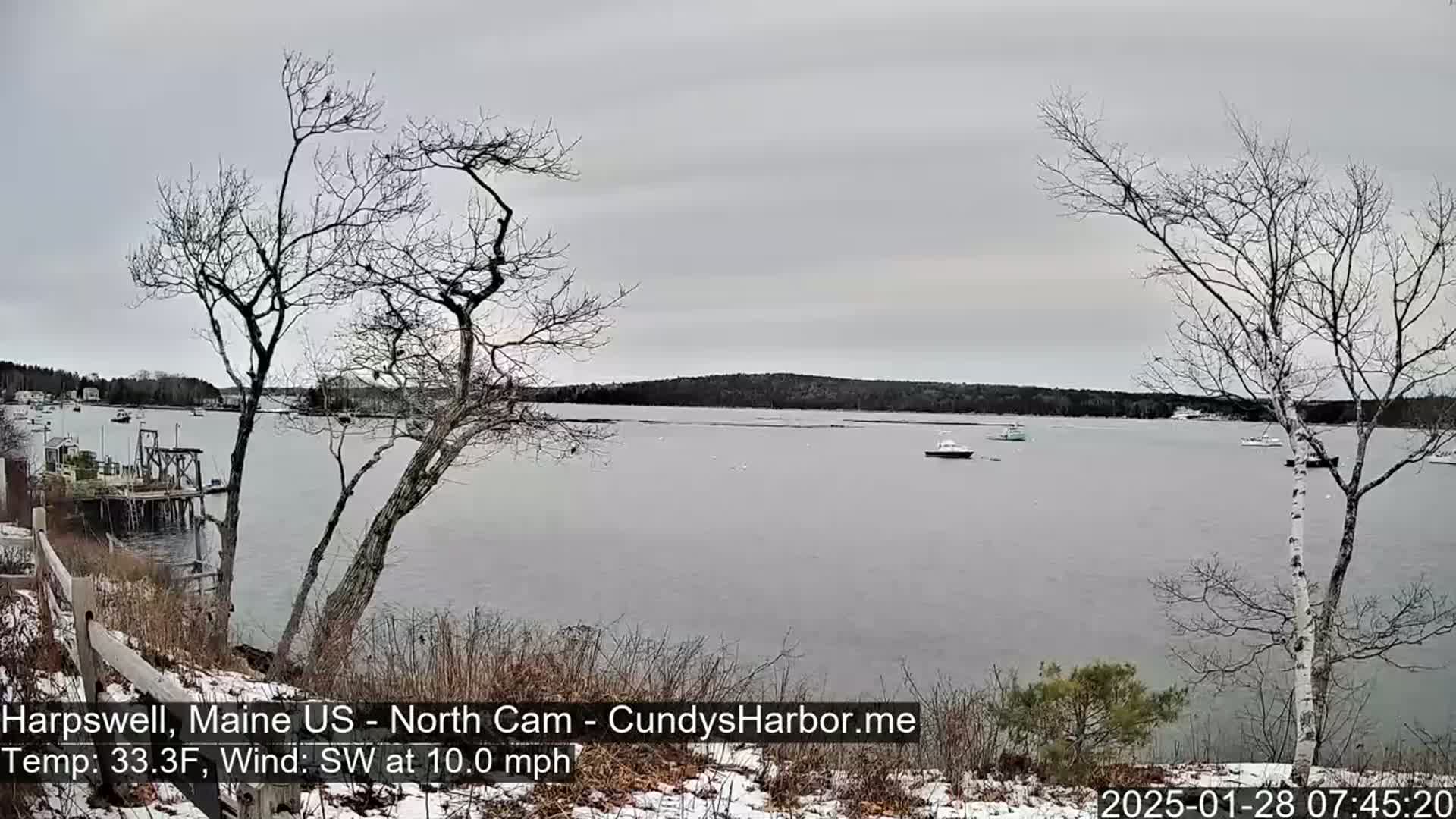 A calm, gray day reveals a snow-dusted shoreline overlooking a tranquil bay with several boats, and leafless trees in the foreground.