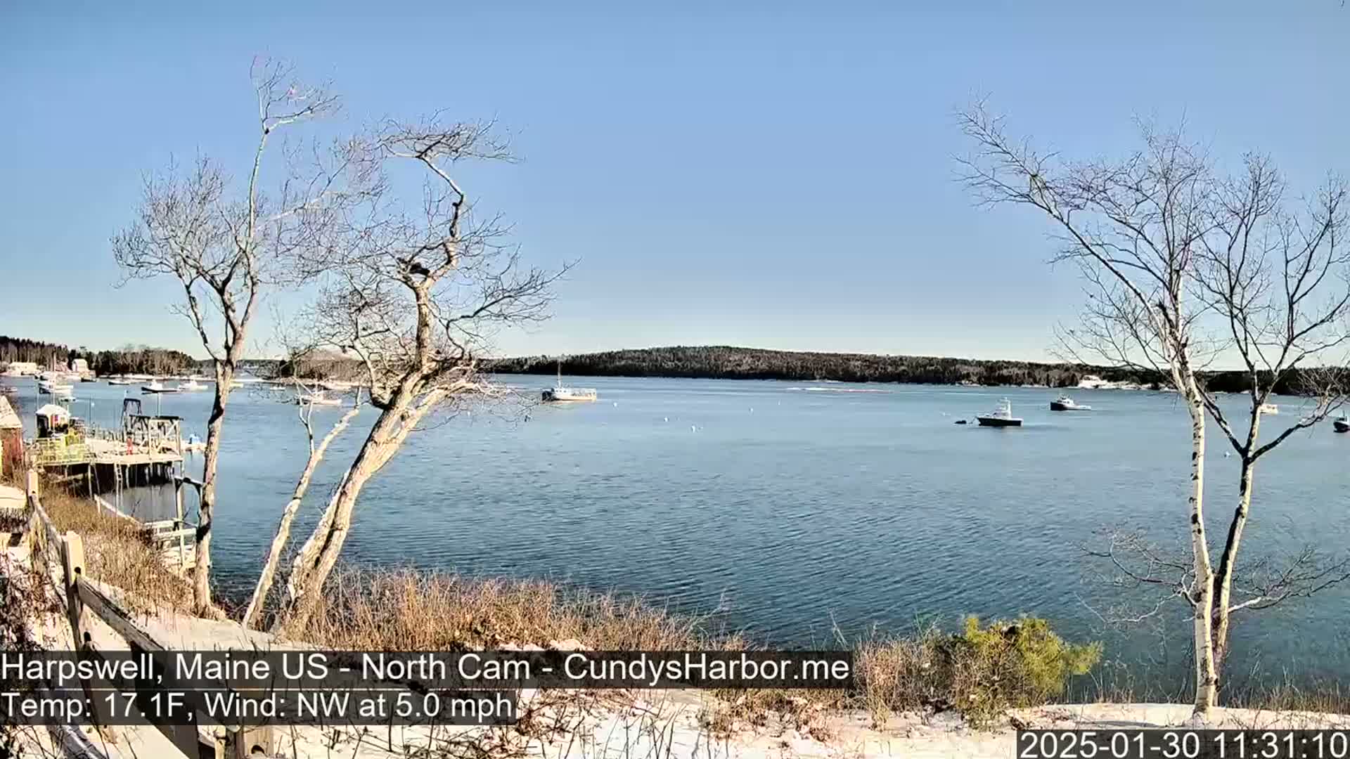 A calm body of water with several boats is viewed from a snow-dusted shoreline with bare trees under a clear blue sky.