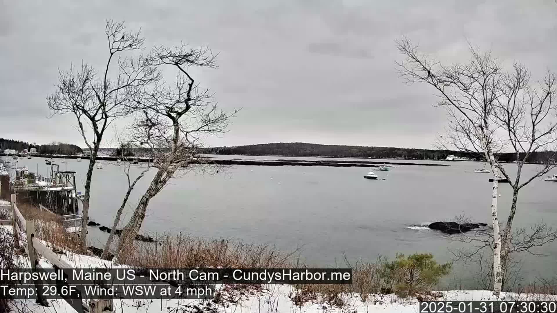 A snow-dusted shoreline overlooks a calm bay with several boats under an overcast sky.