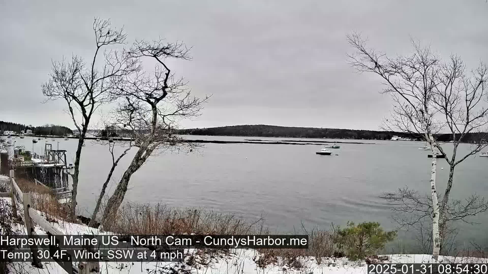 A calm, gray day with light snow on the ground overlooks a harbor with several boats and leafless trees.