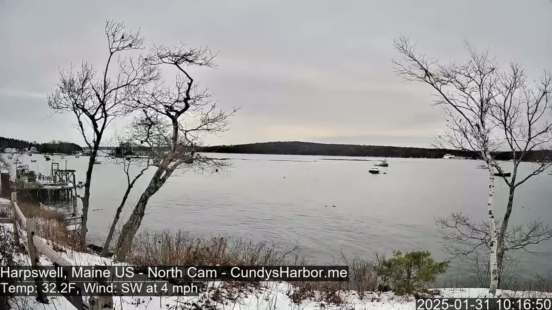 A calm body of water with several boats is viewed from a snowy shoreline under an overcast sky.