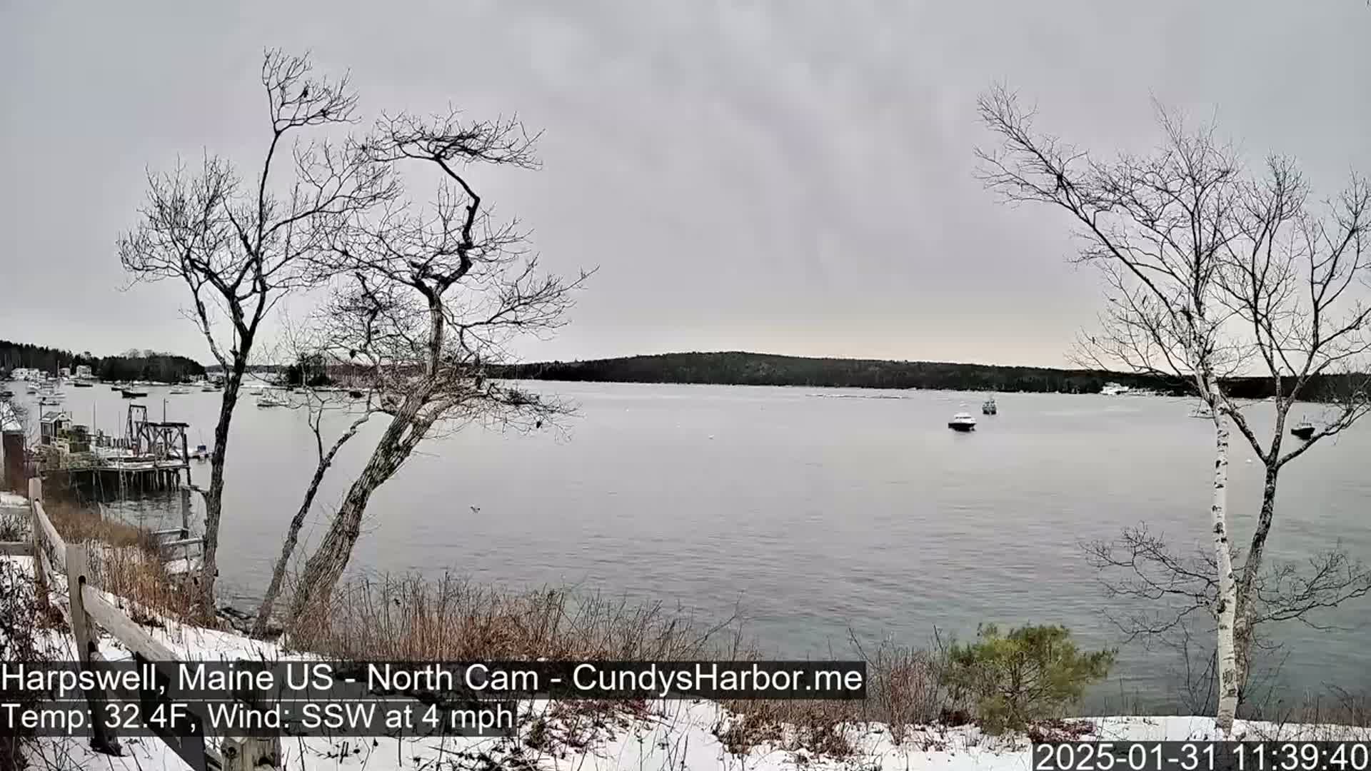 A calm, gray day with light snow on the ground shows a view of a harbor with several boats, seen from a snowy shoreline with bare trees.