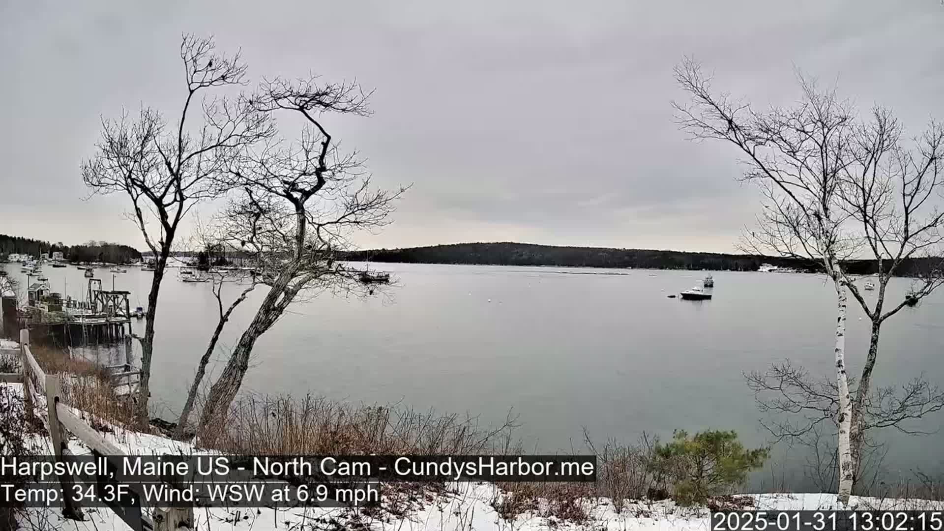 A calm, gray day shows a harbor with several boats, viewed from a snow-dusted, tree-lined point.