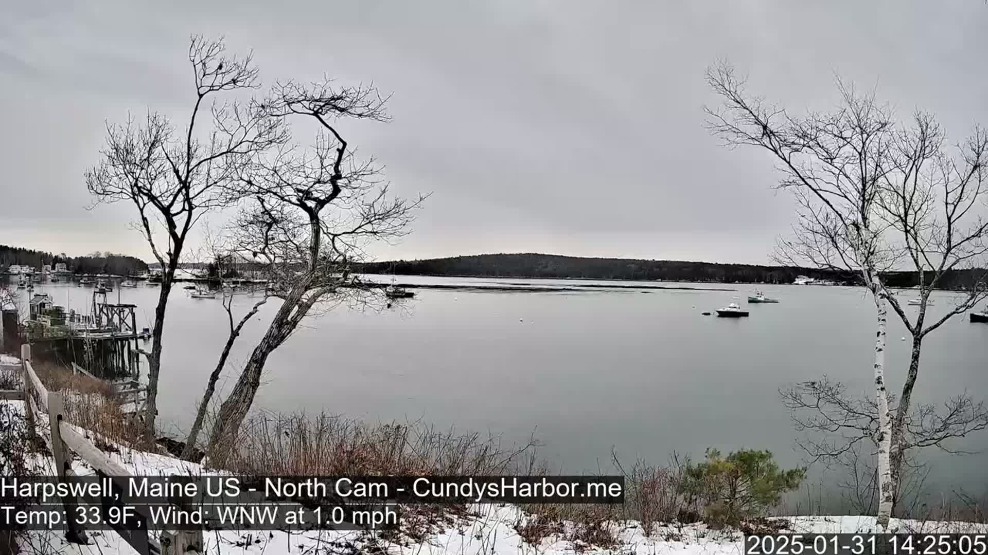A calm, gray day shows a body of water with several boats, viewed from a snow-dusted shoreline with leafless trees and a wooden fence.