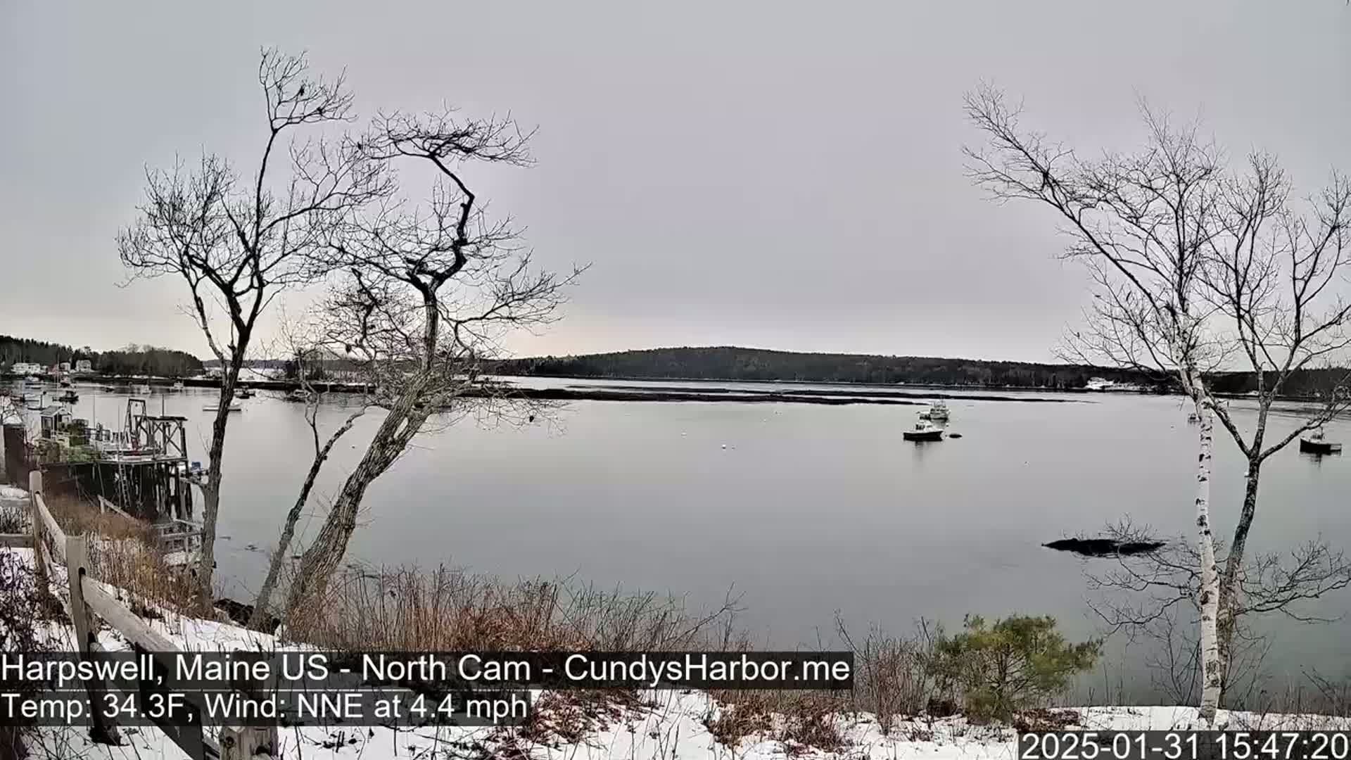 A calm, overcast day shows a snow-dusted shoreline with leafless trees overlooking a body of water containing several small boats.