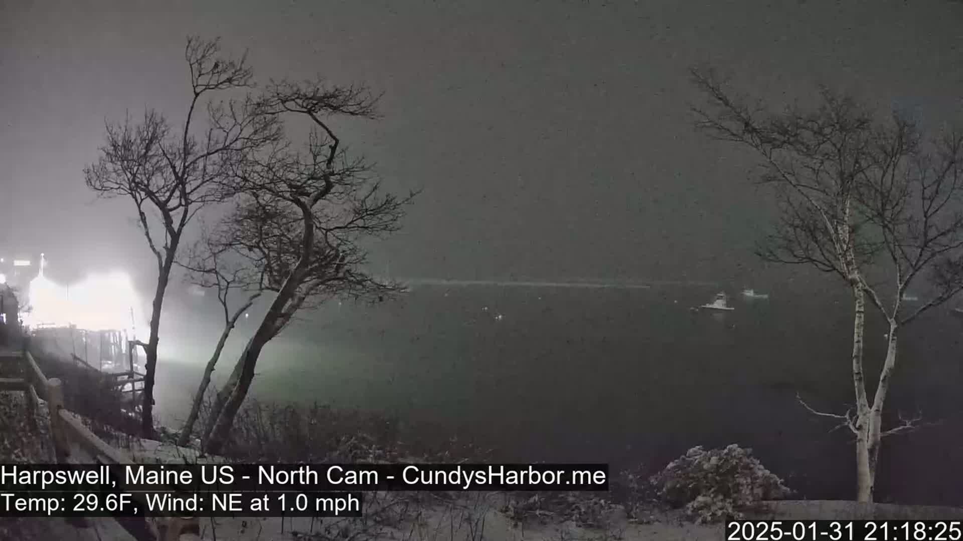 A nighttime snow scene shows a dark body of water with a few lights visible in the distance, framed by bare trees under a heavy snowfall.