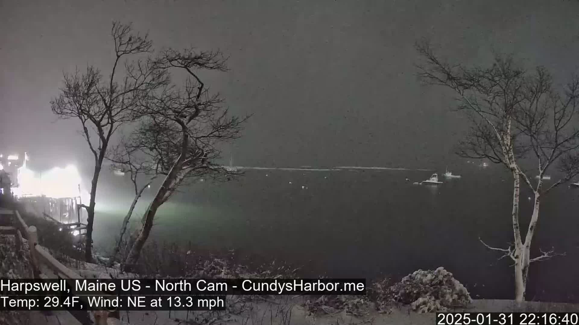 Snow falls over a dark body of water where several boats are visible, near bare trees and a lit pier.
