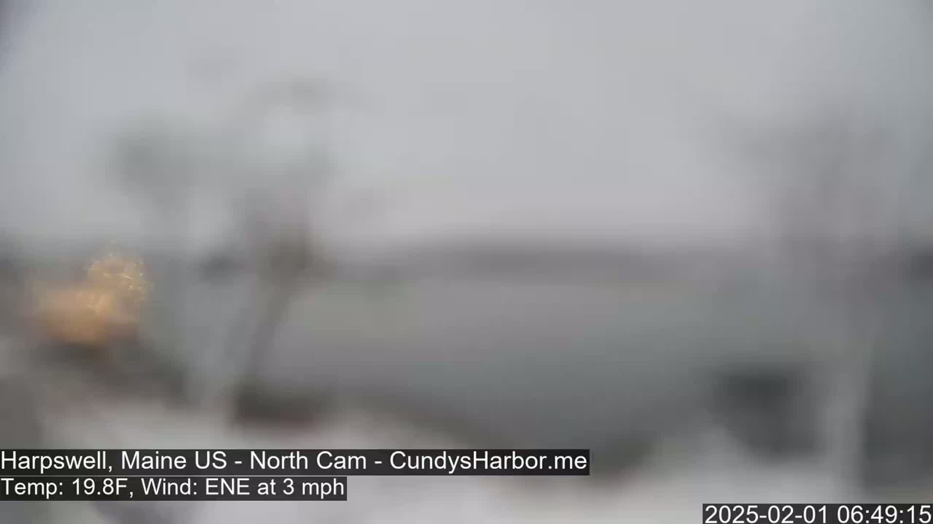 A blurry, snowy outdoor scene is visible, with a light wind.