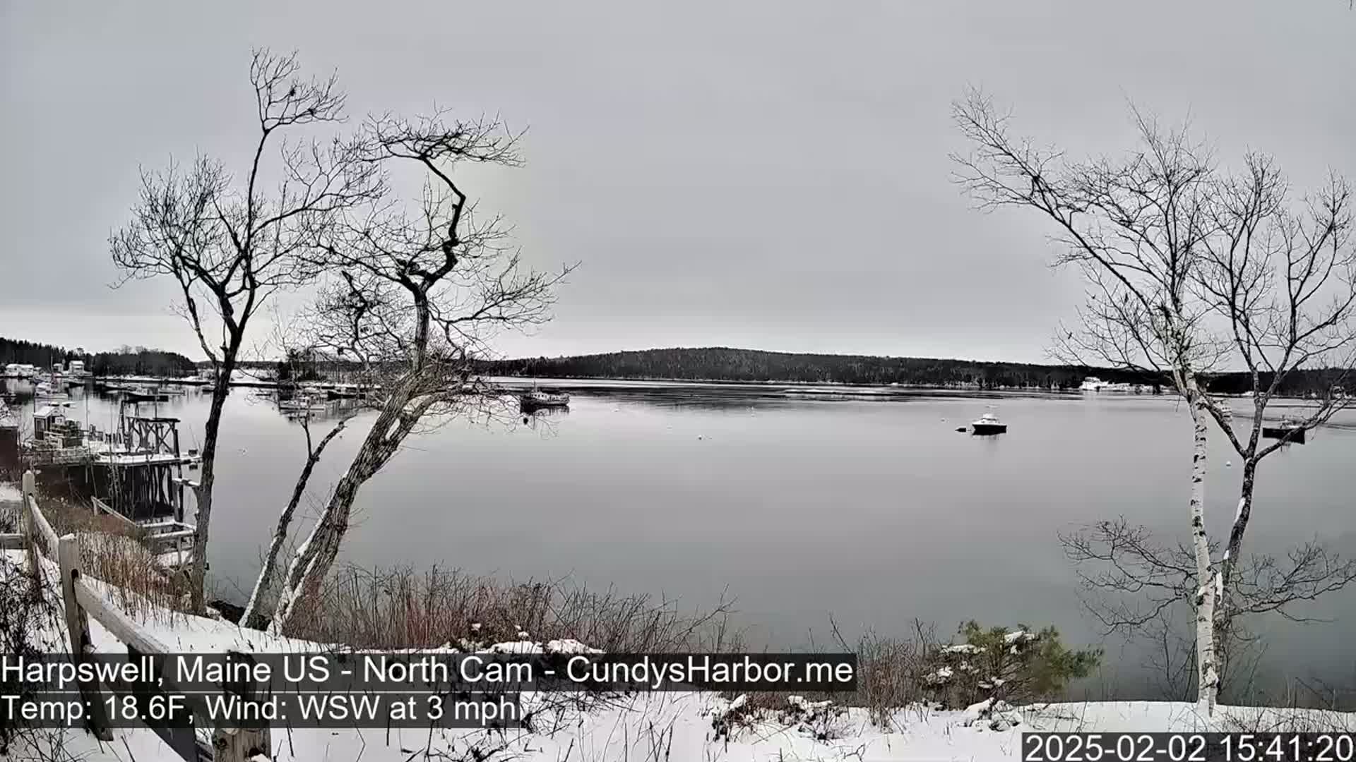 A snow-covered waterfront scene shows a calm body of water with several boats, viewed from a snowy, tree-lined shoreline under an overcast sky.