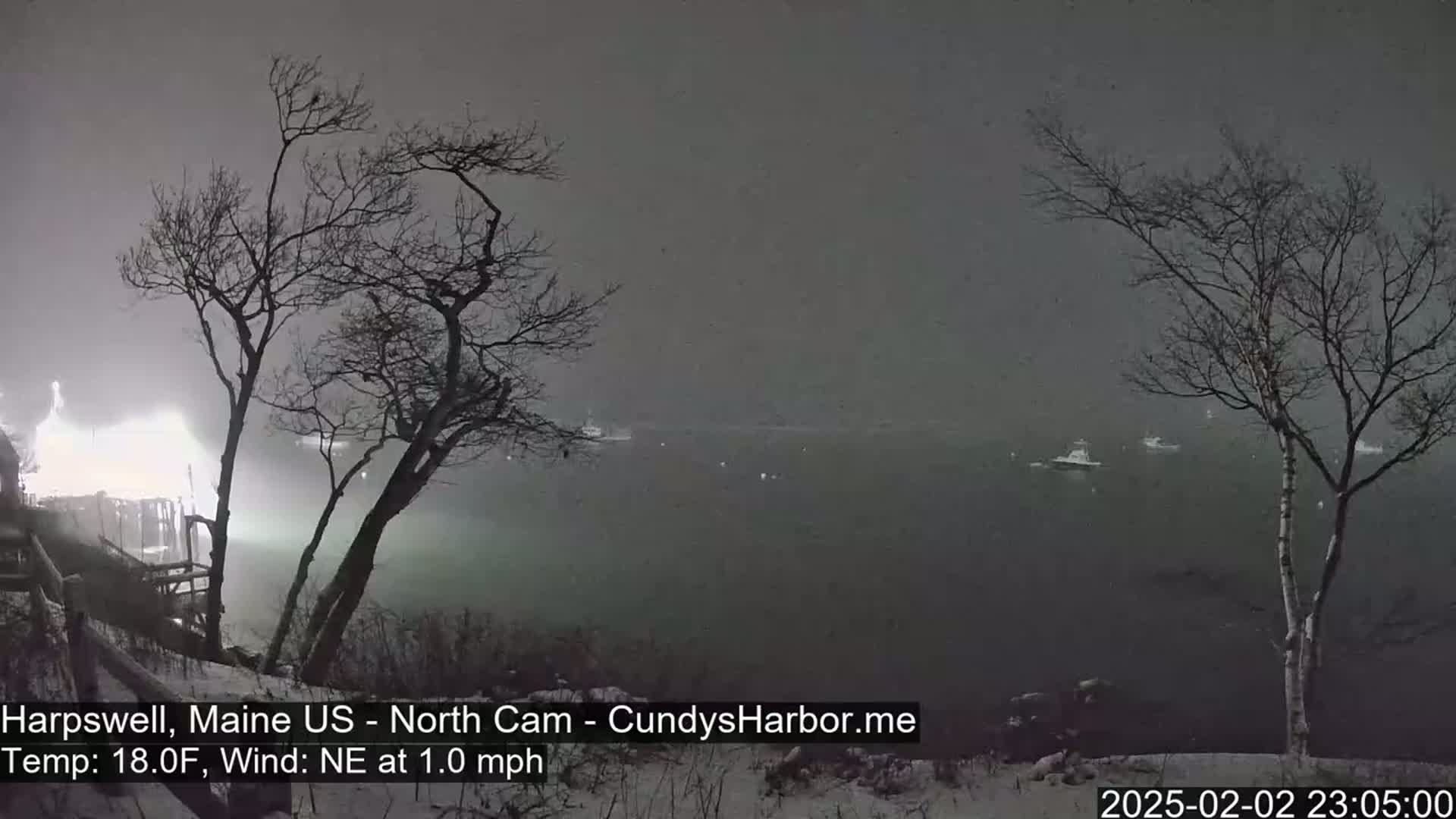 A snowy, nighttime scene shows a body of water with several boats, viewed from a snow-covered shoreline with bare trees in the foreground, under a lightly falling snow.