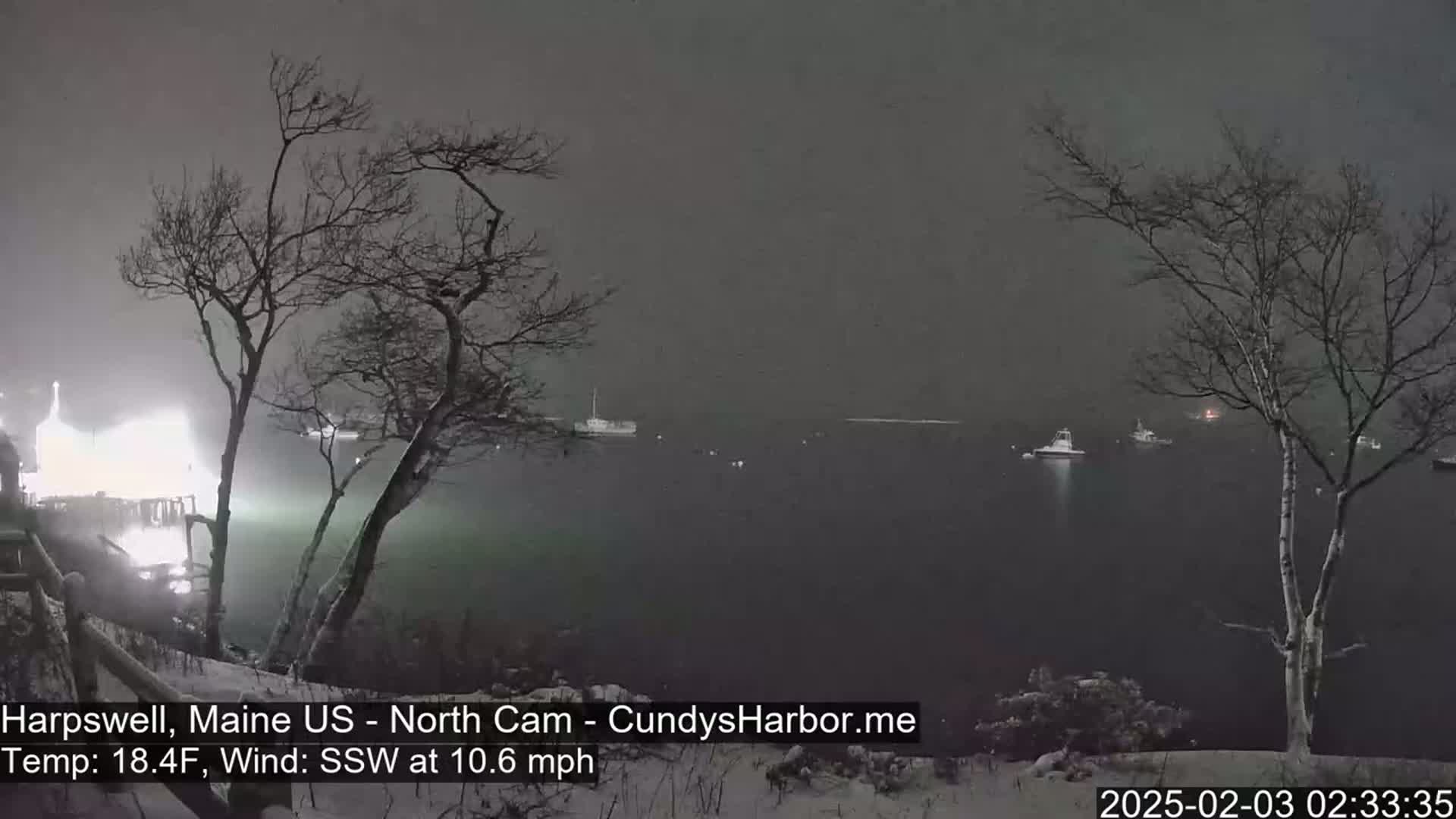 A snowy, nighttime scene shows a dark body of water with several boats, illuminated by lights from a nearby structure, with bare trees in the foreground under a heavy, gray sky.