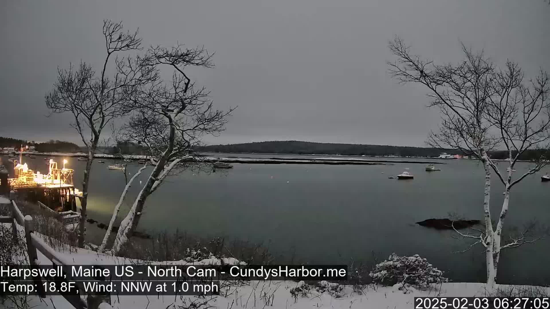 A snow-covered shoreline overlooks a calm body of water with several boats, under a gray sky.