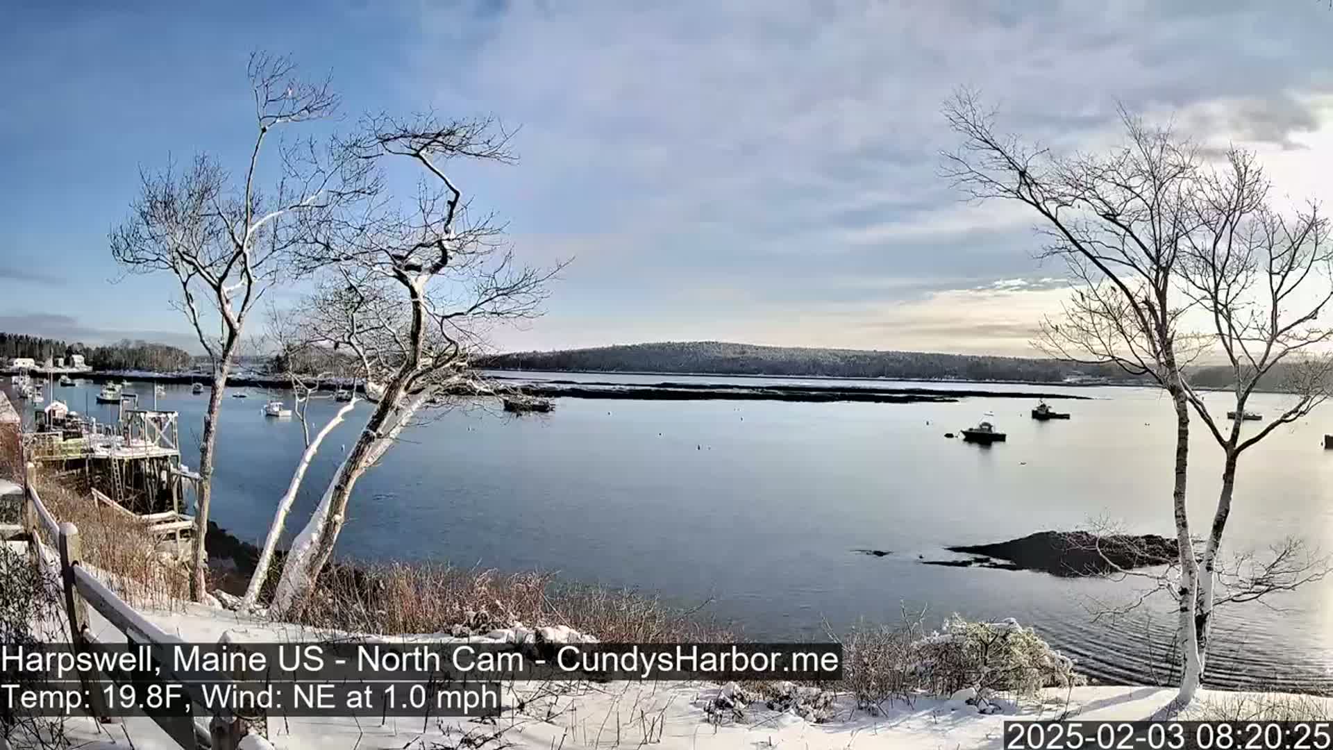 A snow-dusted waterfront scene shows a calm bay with several boats, bare trees, and a partly sunny sky.