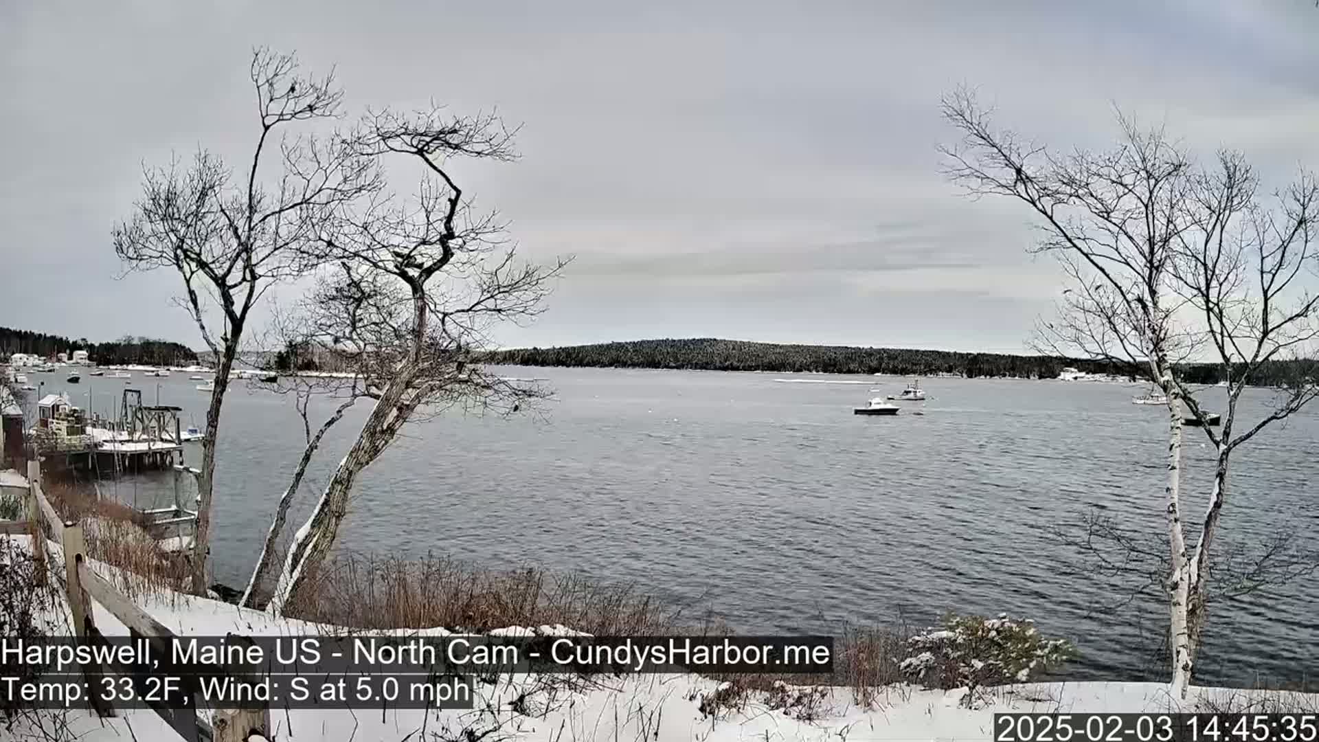 A snow-dusted, winter harbor scene shows calm water with a few boats, a distant shoreline, and bare trees in the foreground under an overcast sky.