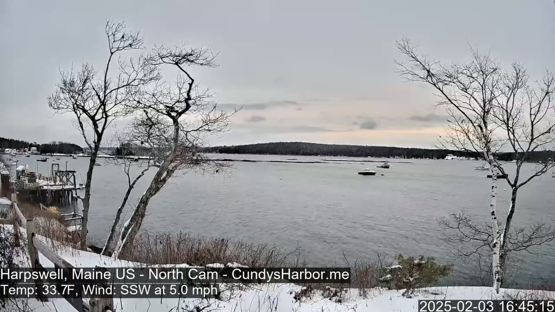 A snow-covered shoreline overlooks a calm body of water with several boats, under a cloudy sky.
