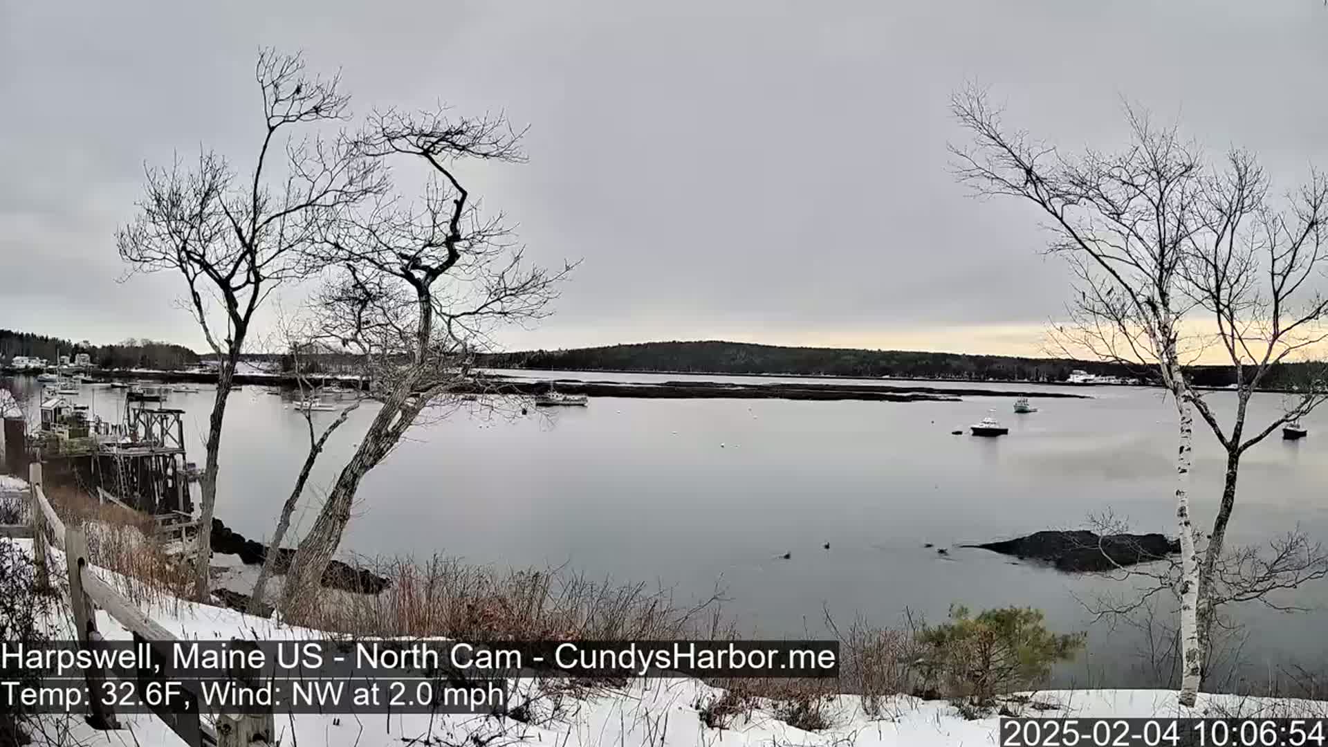 A snow-covered shoreline overlooks a calm bay with several boats, under an overcast sky.