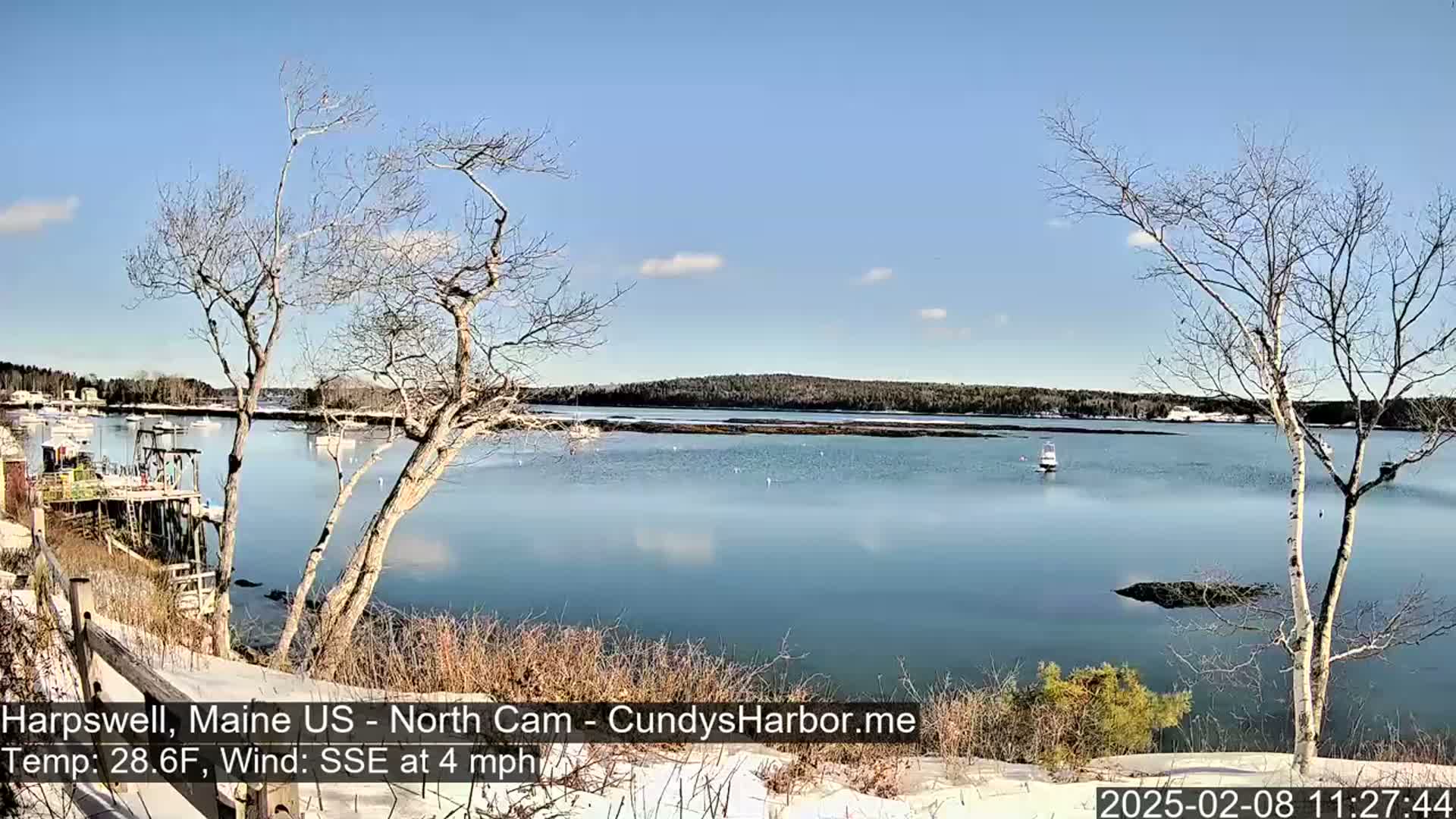 A calm, sunny day with a light SSE wind shows a snow-dusted shoreline overlooking a harbor with several boats, sparsely populated with bare trees and a few evergreen bushes.