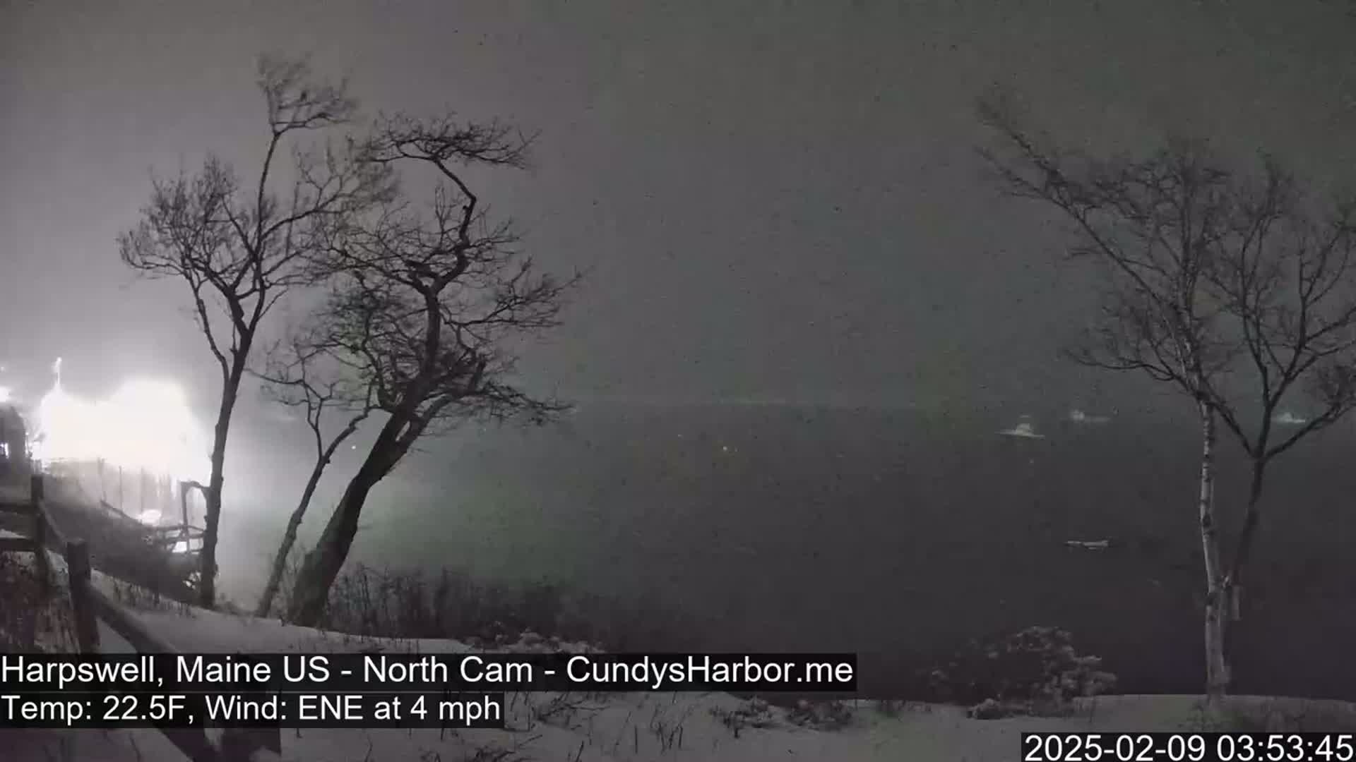 Snow falls at night over a dark body of water, with bare trees silhouetted against a dimly lit shoreline.