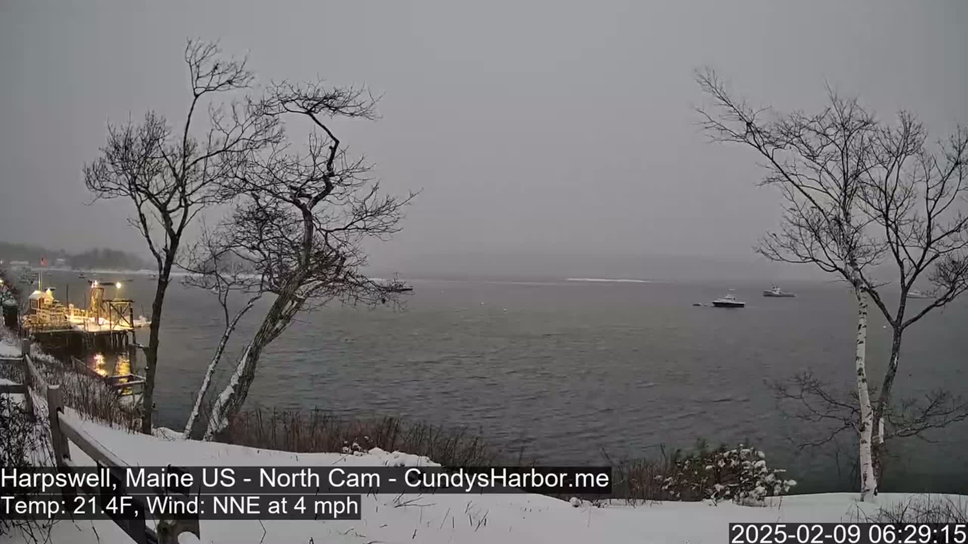 A snow-covered shoreline with bare trees overlooks a calm body of water where a few boats are visible under a gray, snowy sky.