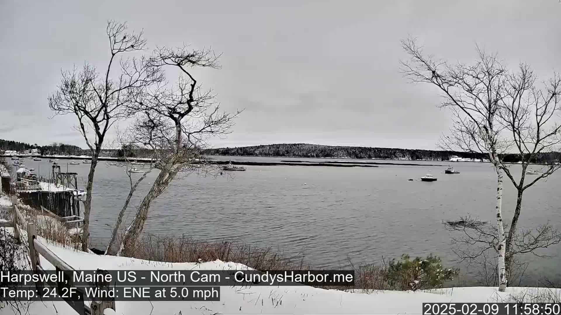 A snow-covered shoreline overlooks a calm body of water with several boats, under a cloudy sky.