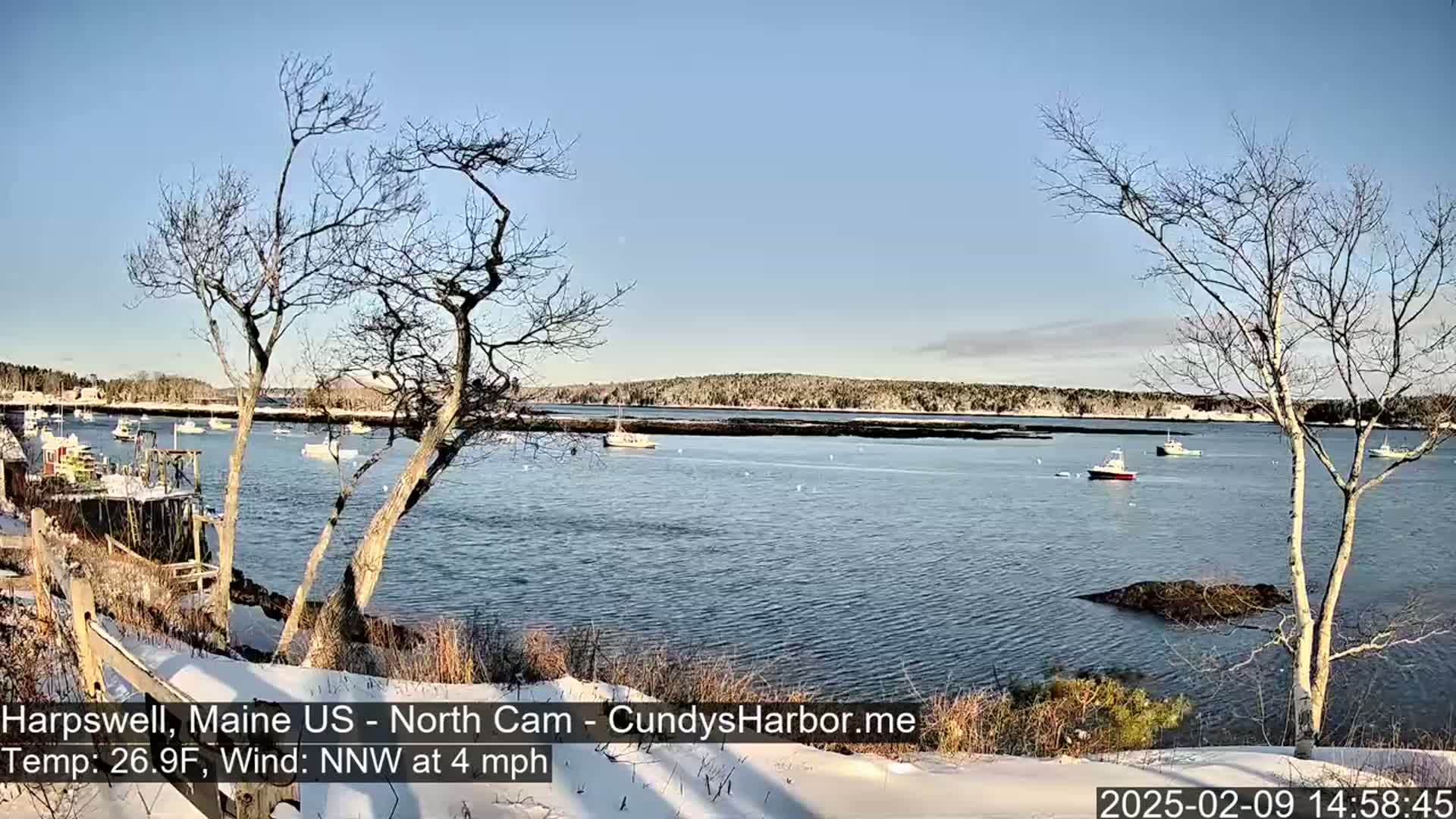 A snow-covered shoreline overlooks a calm bay with several boats scattered across the water under a clear, bright sky.