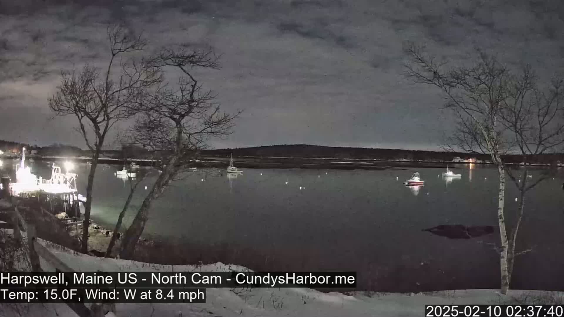 A dark, calm body of water at night, under a cloudy sky, is dotted with several small boats near a snow-covered shore with bare trees.