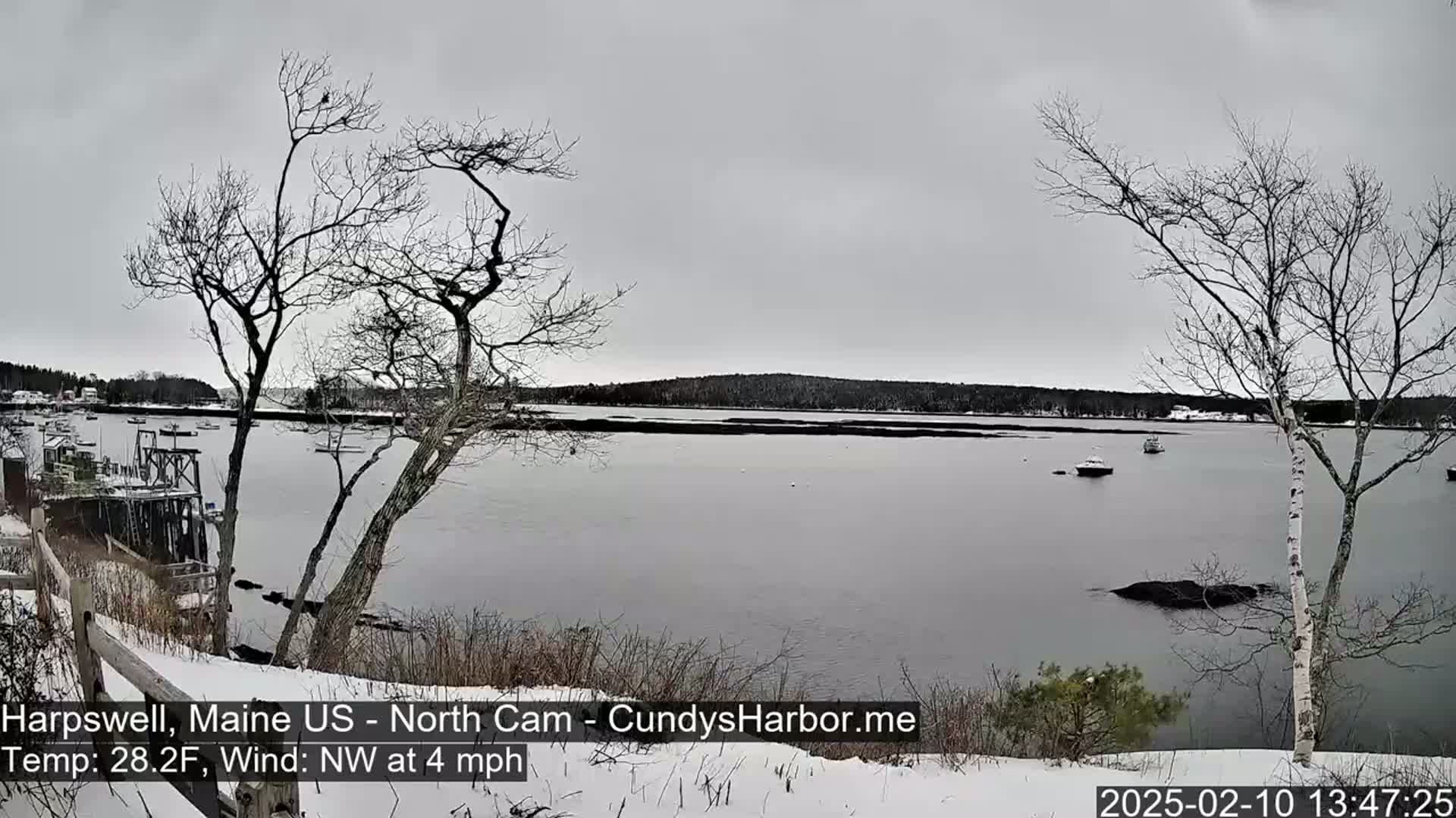 A snow-covered shoreline overlooks a calm body of water with several boats, under an overcast sky.