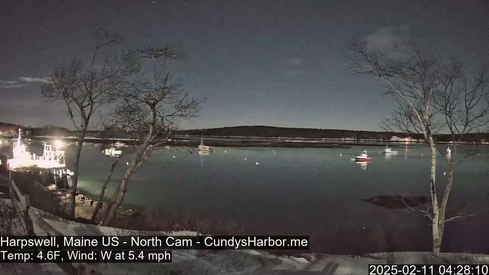 A moonlit harbor scene at night shows several boats moored near a dock, with bare trees and a calm body of water under a clear, starry sky.