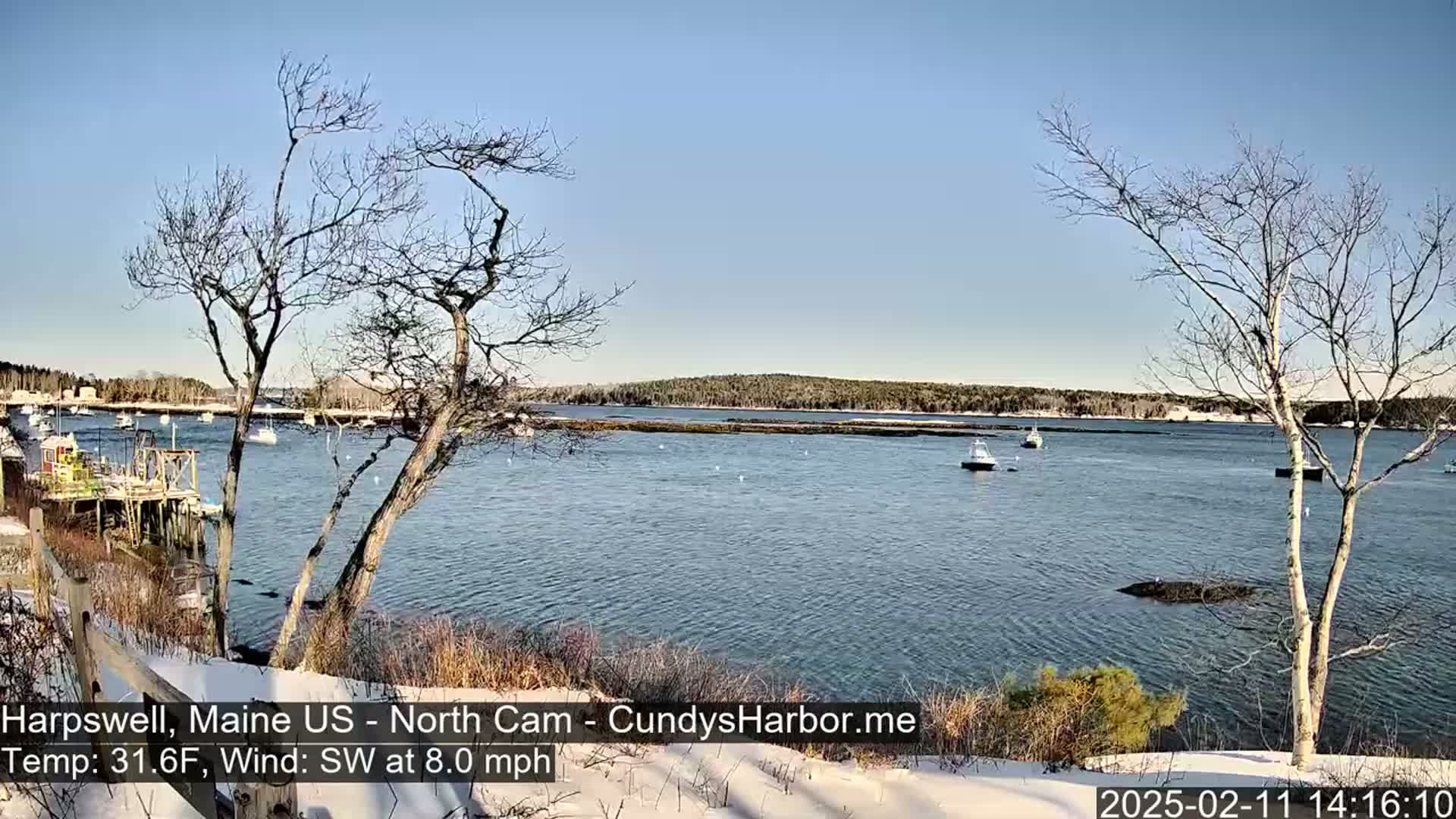 A calm body of water with several boats is seen from a snowy shoreline, under a clear blue sky.