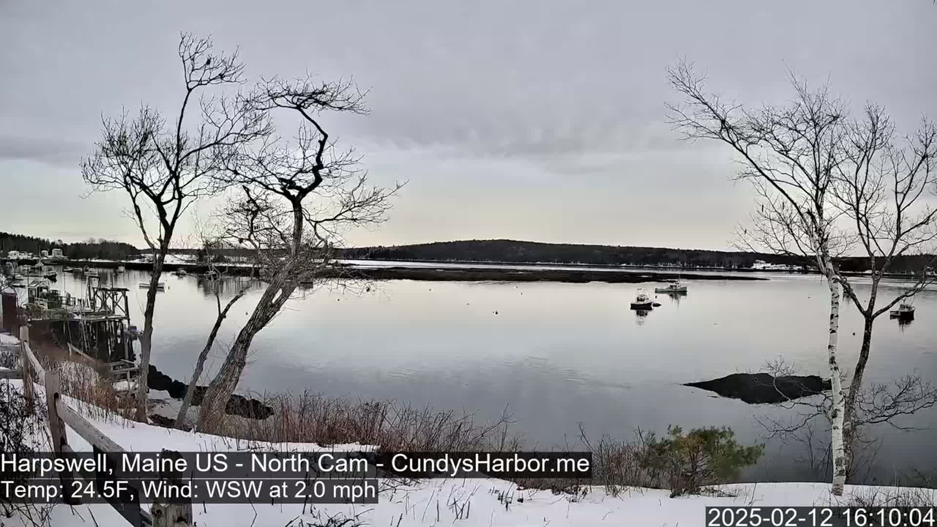 A calm, gray day with a light wind shows a snow-covered shoreline overlooking a bay with several small boats, under a mostly cloudy sky.