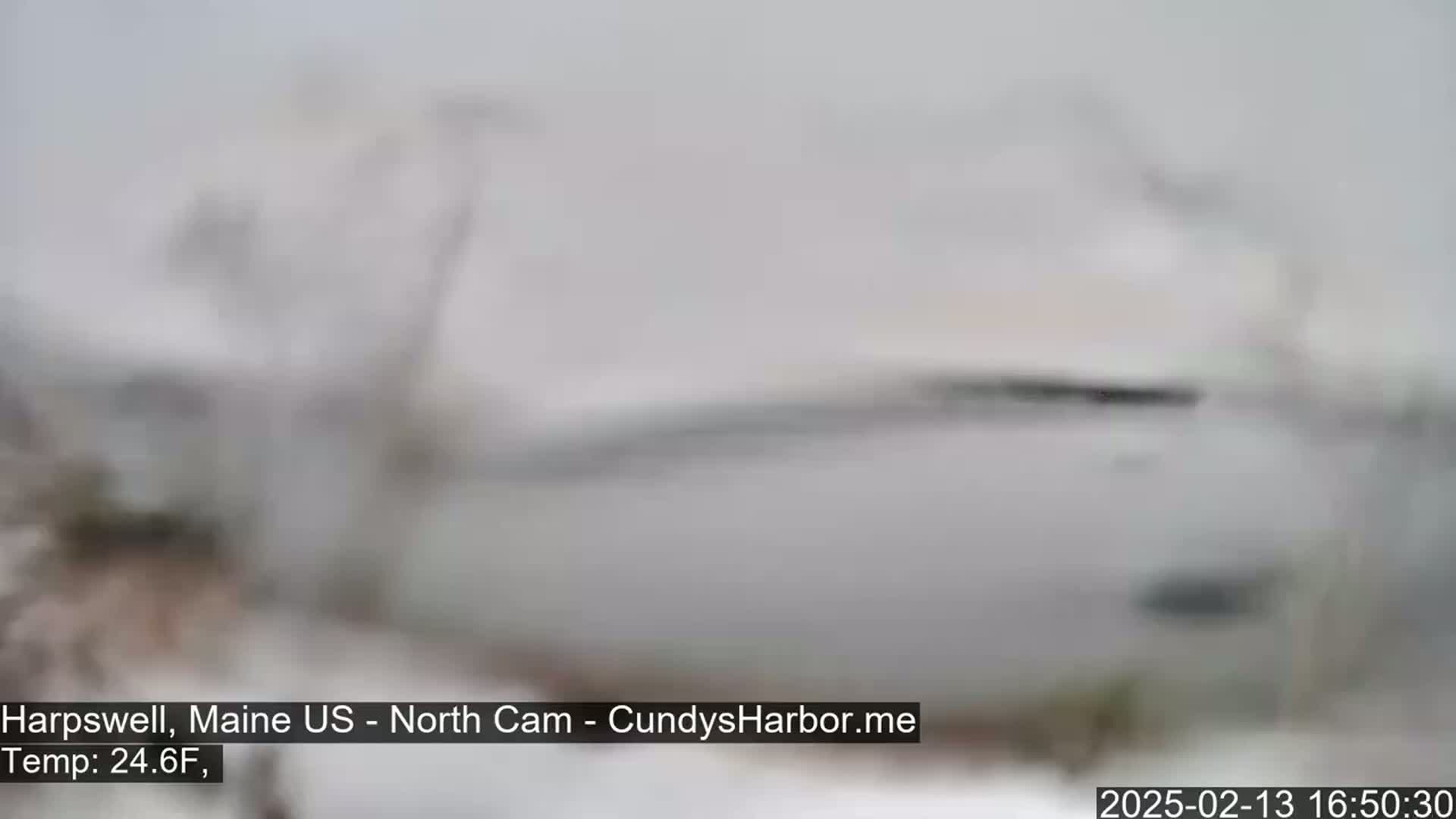 A blurry, snow-covered scene is visible in the hazy, snowy weather.