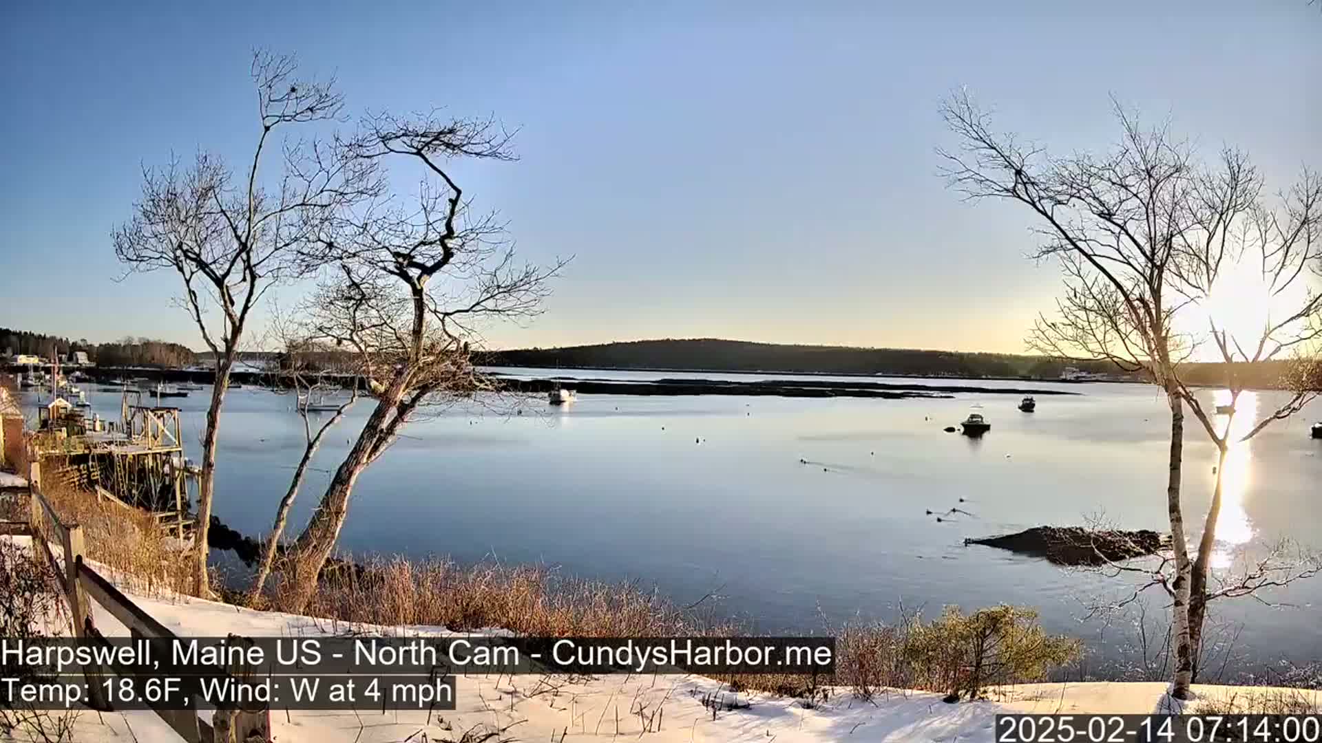 A calm, sunlit harbor scene with several boats, viewed from a snow-covered shoreline with bare trees in the foreground, under a clear sky.