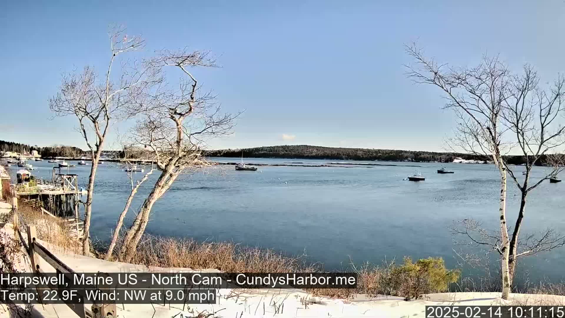 A calm, cold, and sunny day on a harbor with several boats, viewed from a snow-covered shoreline with bare trees.