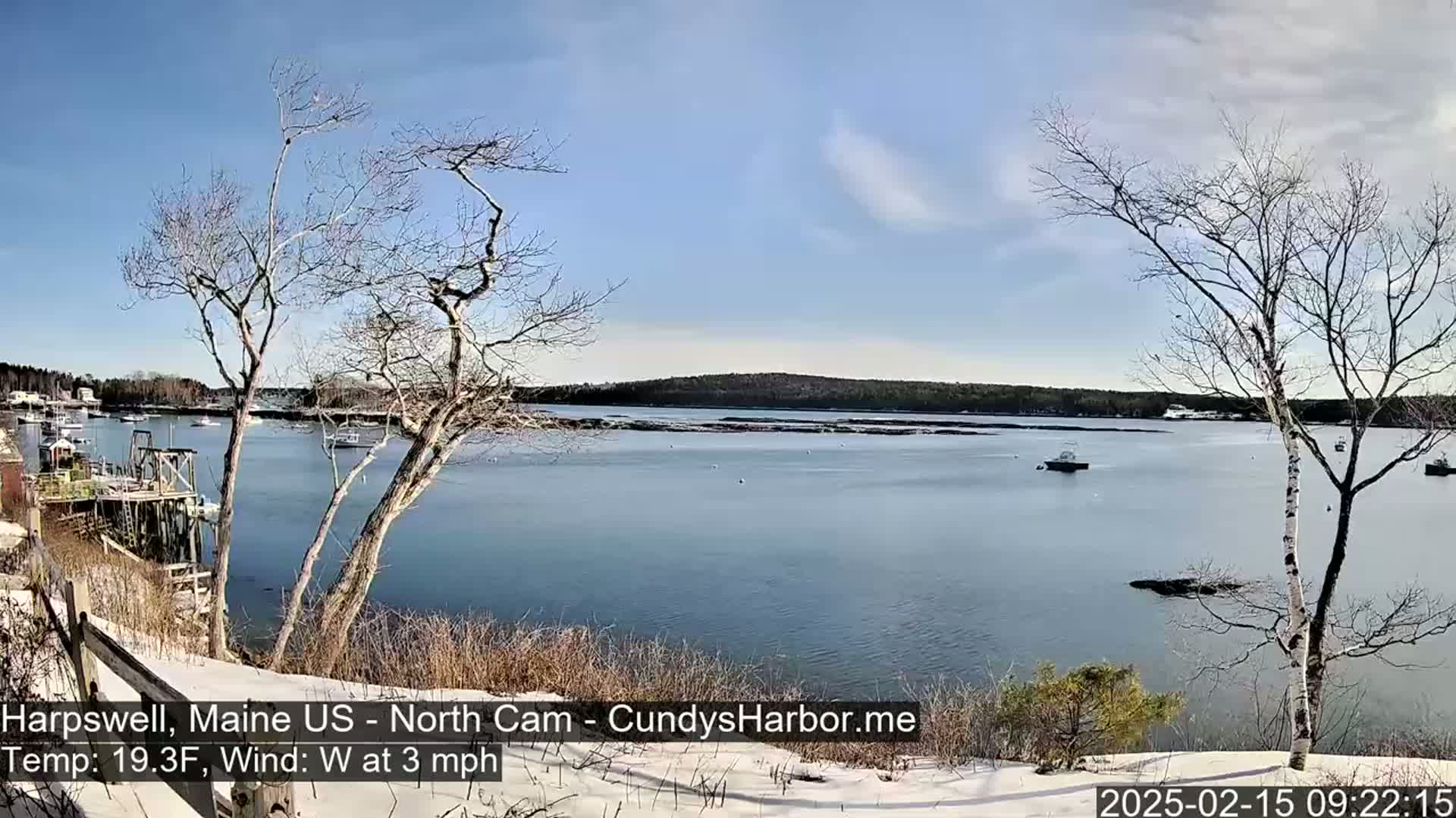 A snow-covered shoreline with bare trees overlooks a calm bay with several boats under a mostly clear sky.