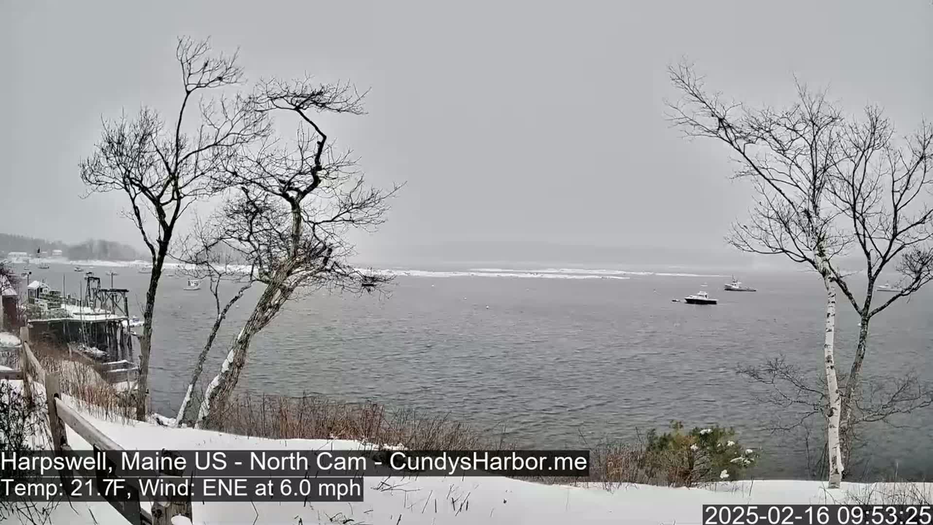A snowy, overcast scene shows a body of water with several boats, viewed from a snow-covered shoreline with bare trees in the foreground.