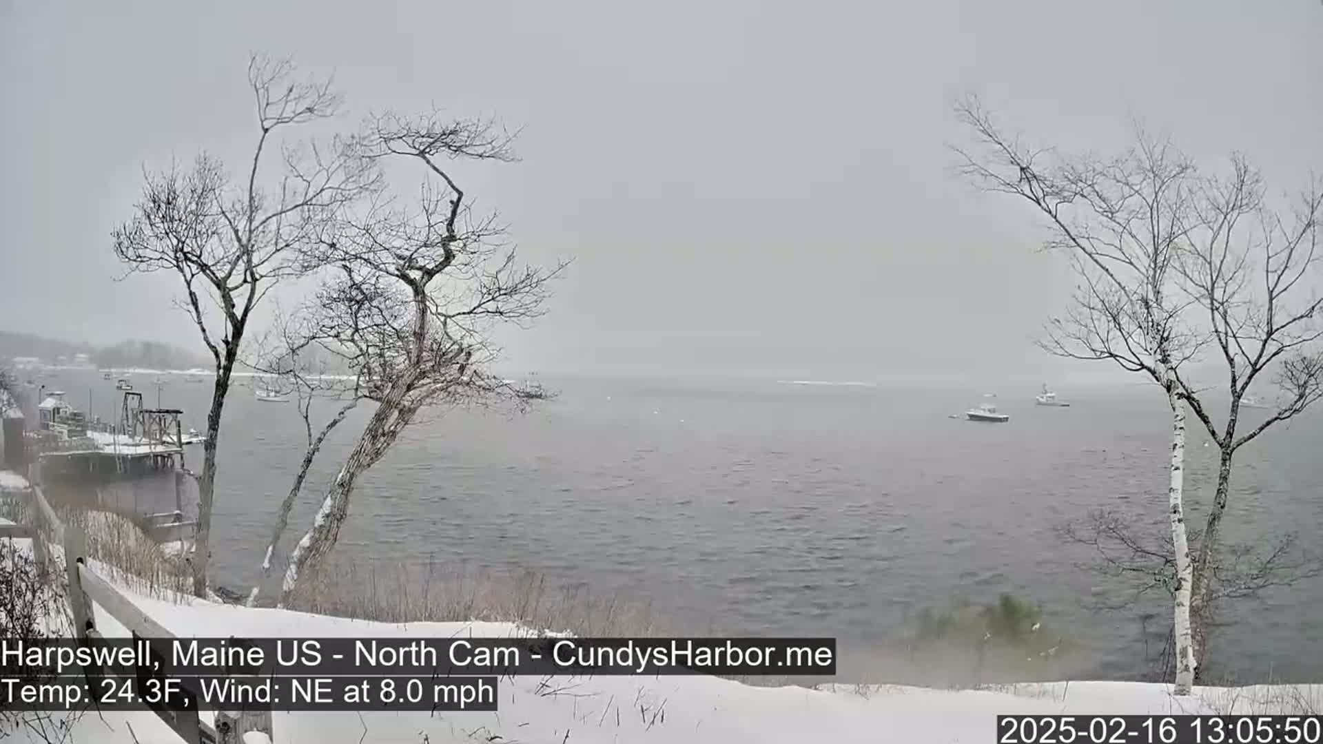 A snow-covered shoreline with bare trees overlooks a choppy body of water where a few boats are visible under a gray, snowy sky.