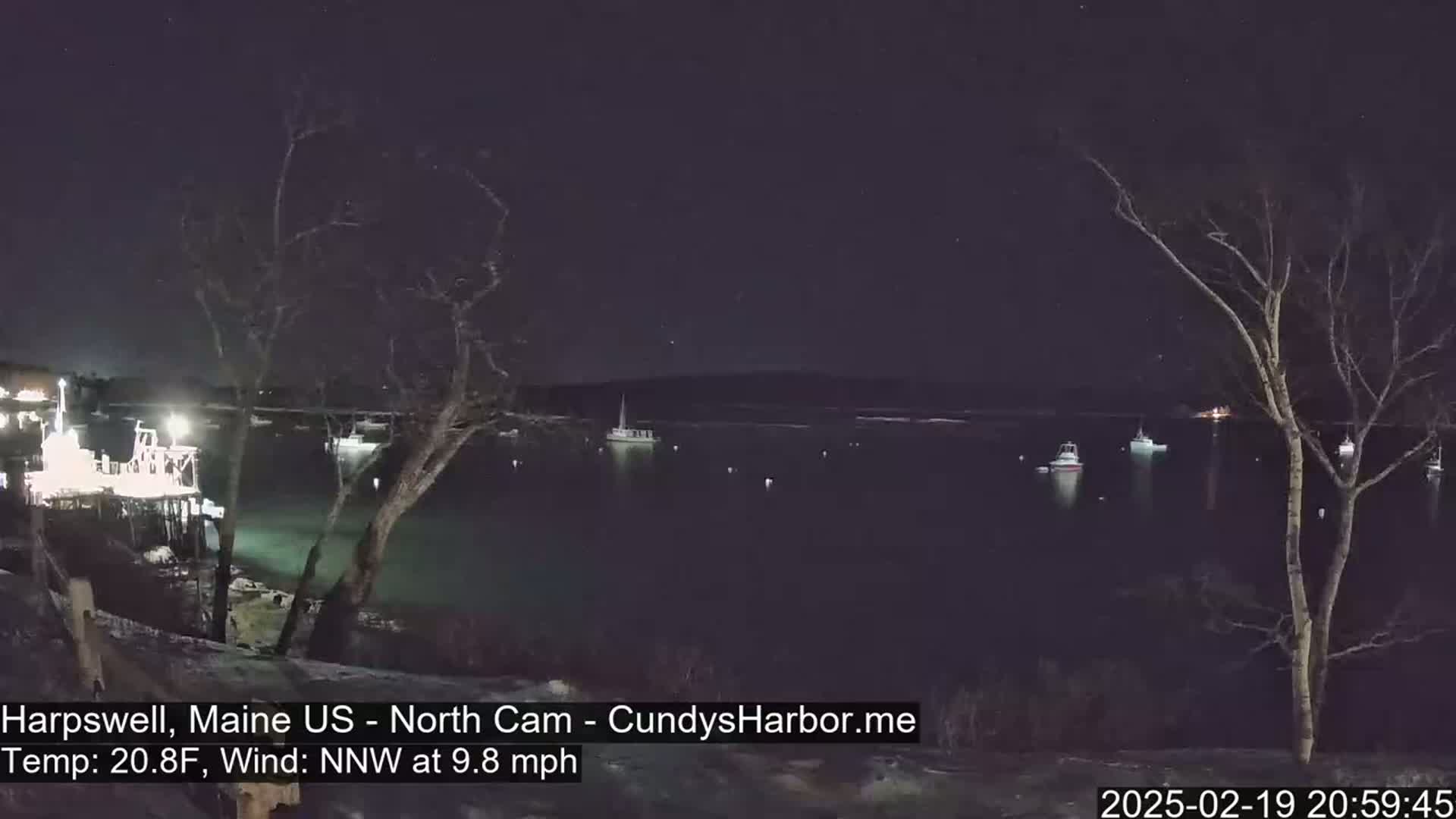 A nighttime view of a calm body of water with several boats moored, under a clear, starry sky, with bare trees in the foreground.